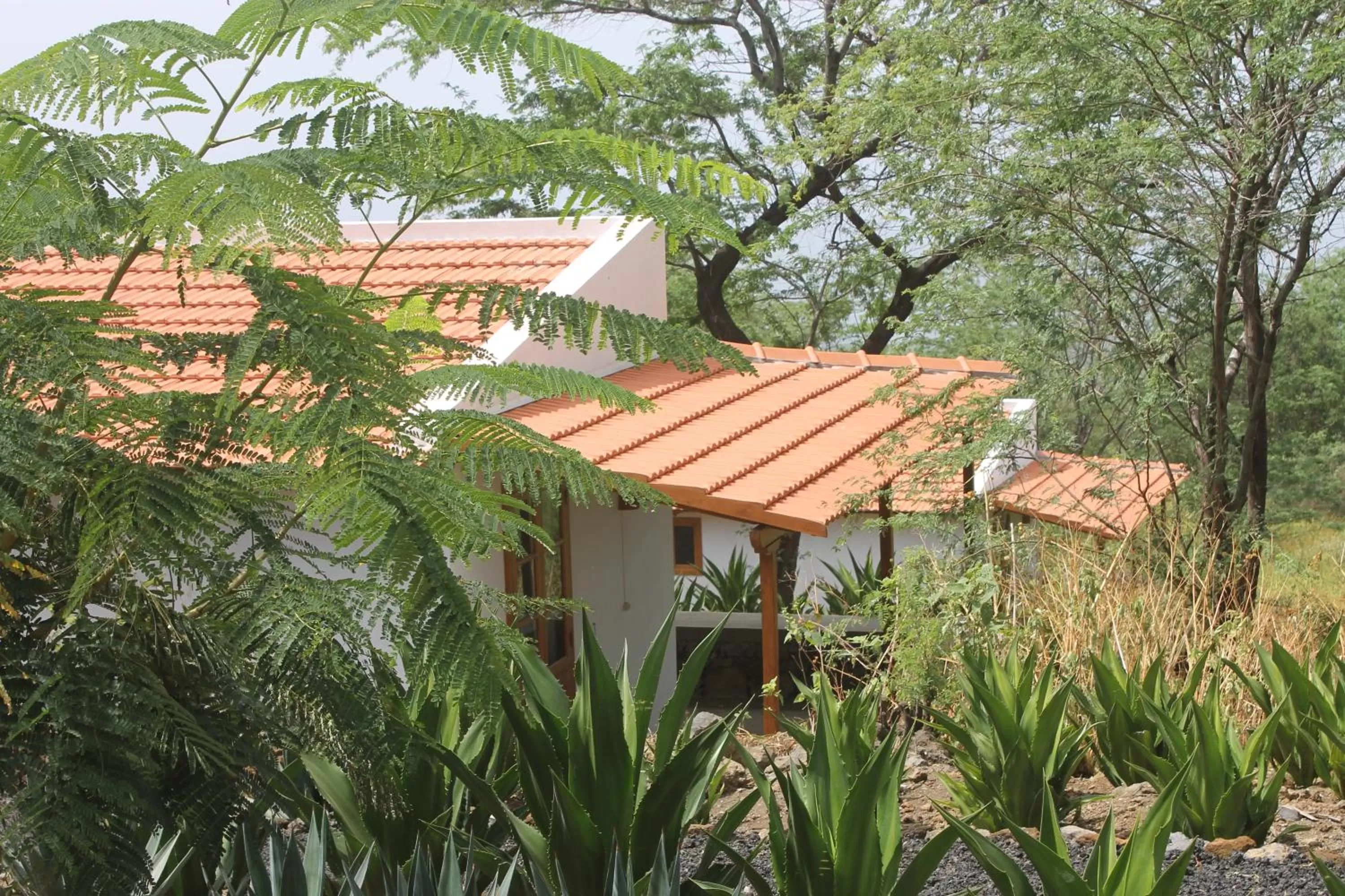 Garden in La Fora Ecolodge