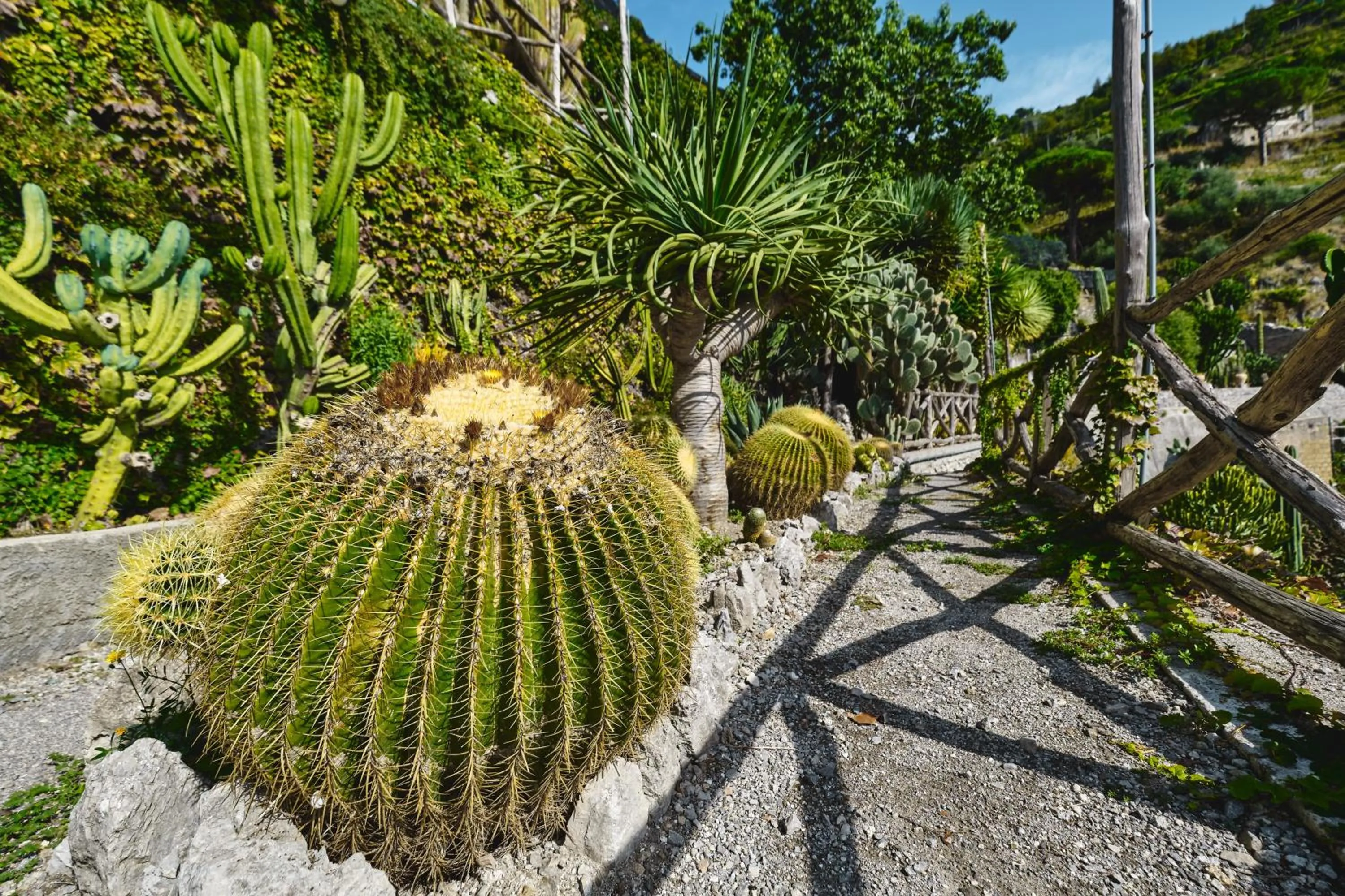 Garden in Hotel Botanico San Lazzaro