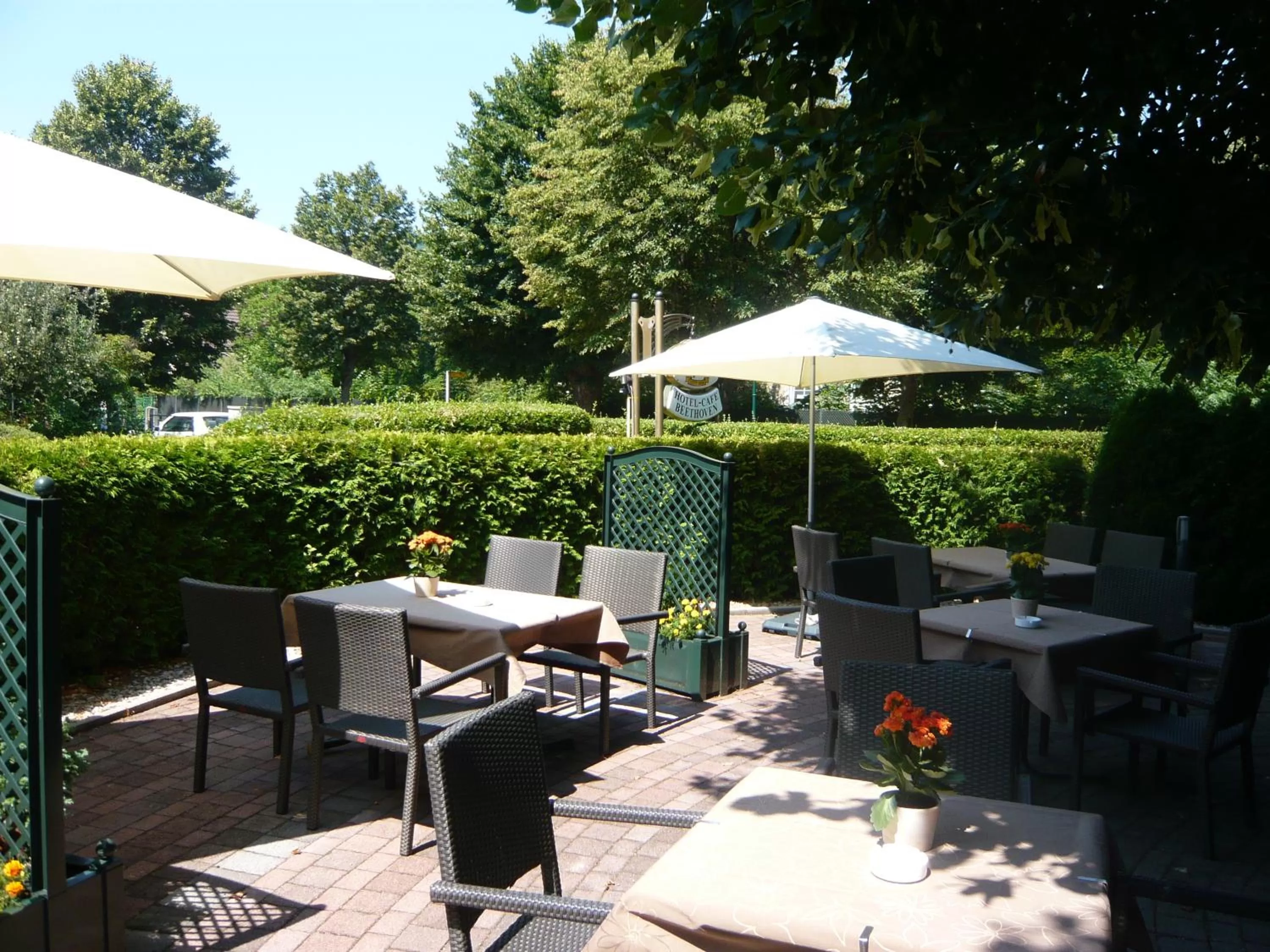 Balcony/Terrace in Hotel Beethoven
