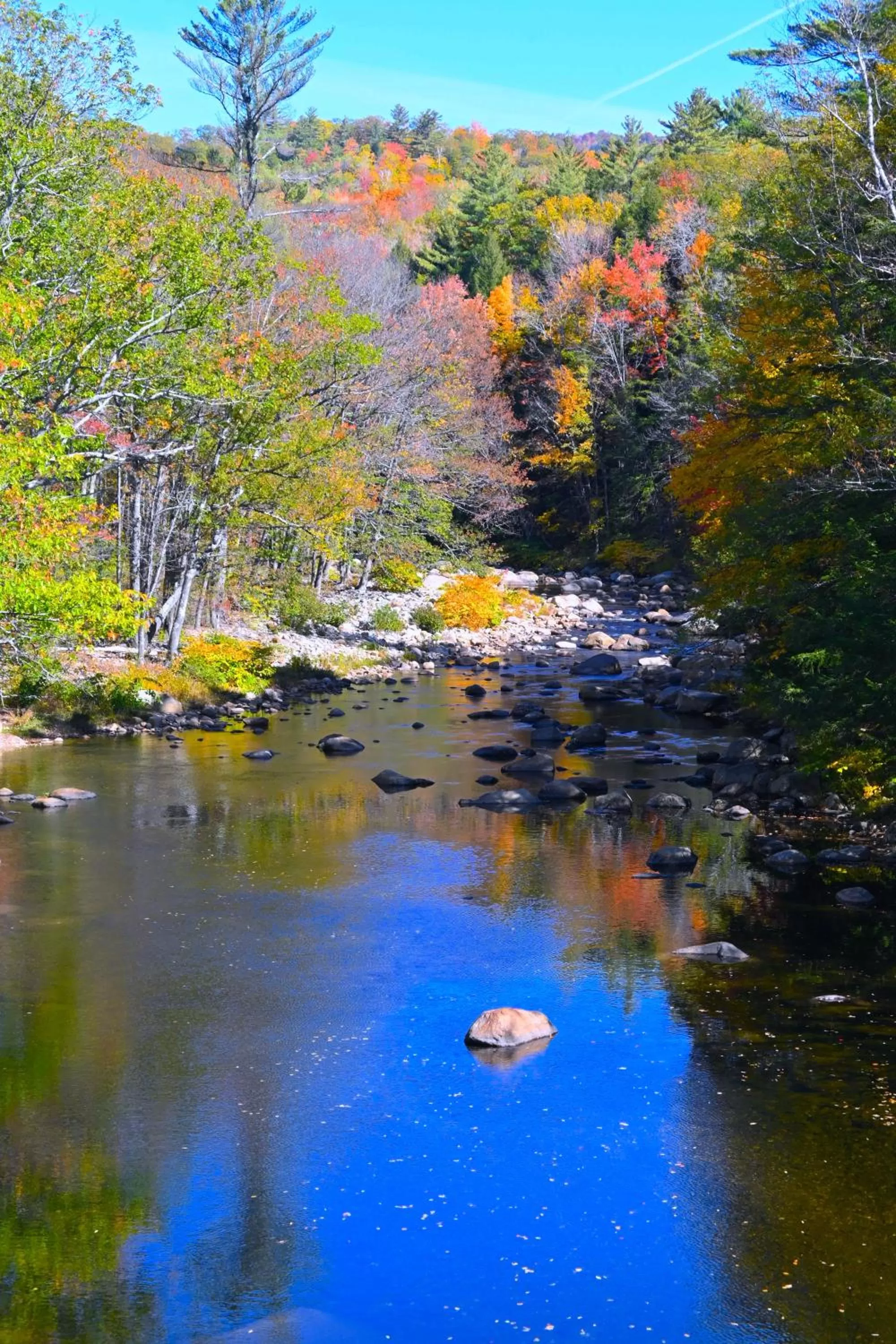 Natural landscape in The Lodge at Jackson Village