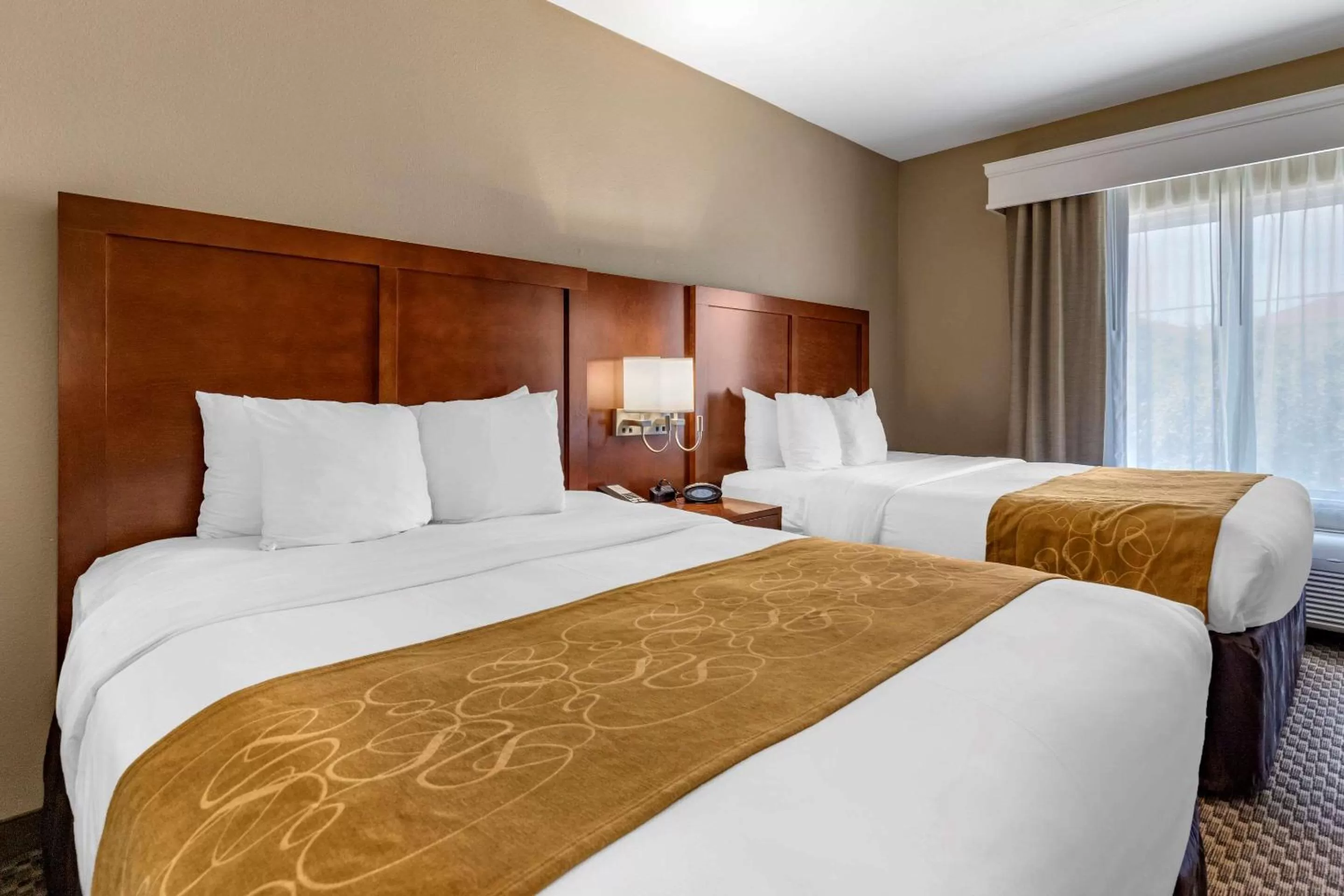 Photo of the whole room, Bed in Comfort Suites Near Texas A&M - Corpus Christi