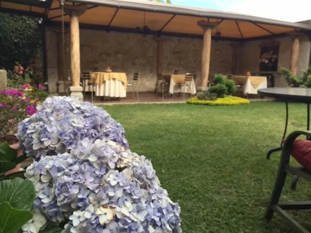 Garden in Hostal Villa Toscana