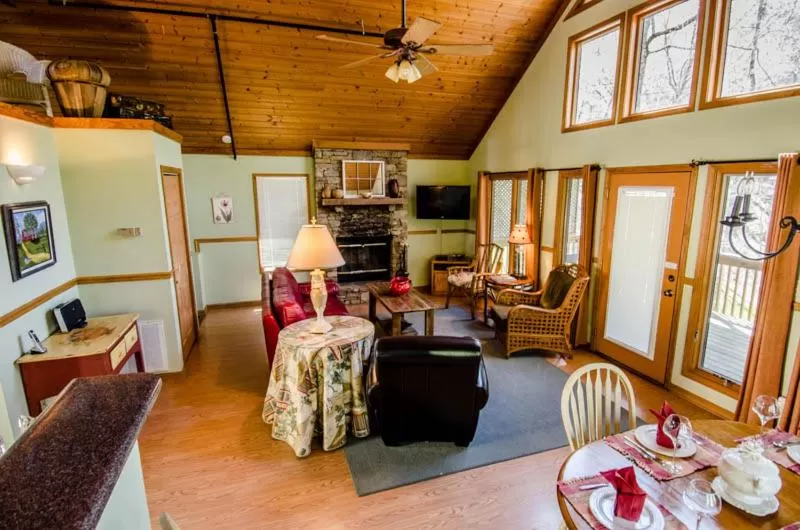 Living room in Asheville Cabins of Willow Winds