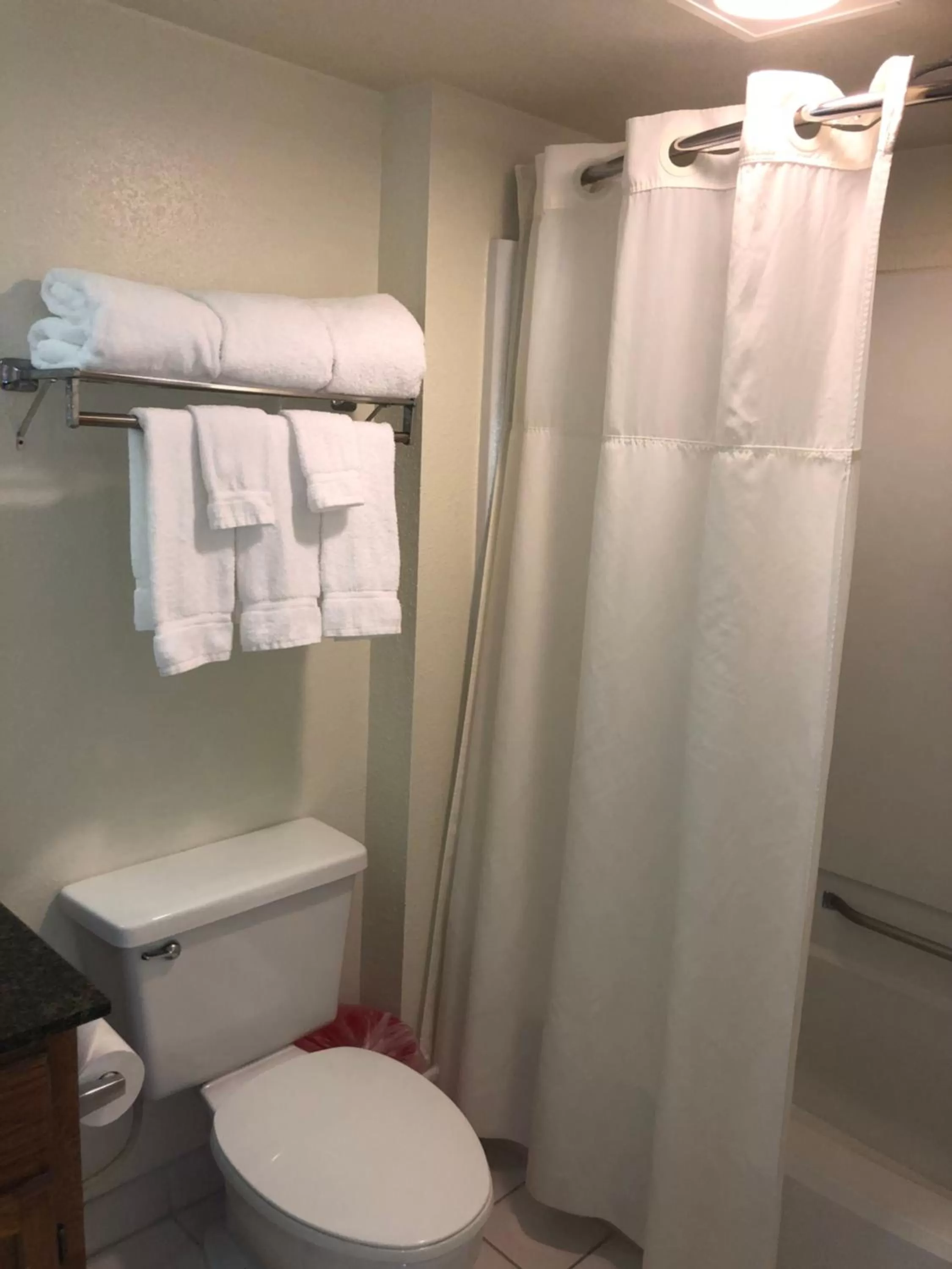 Toilet in Chase Suite Hotel Rocky Point Tampa