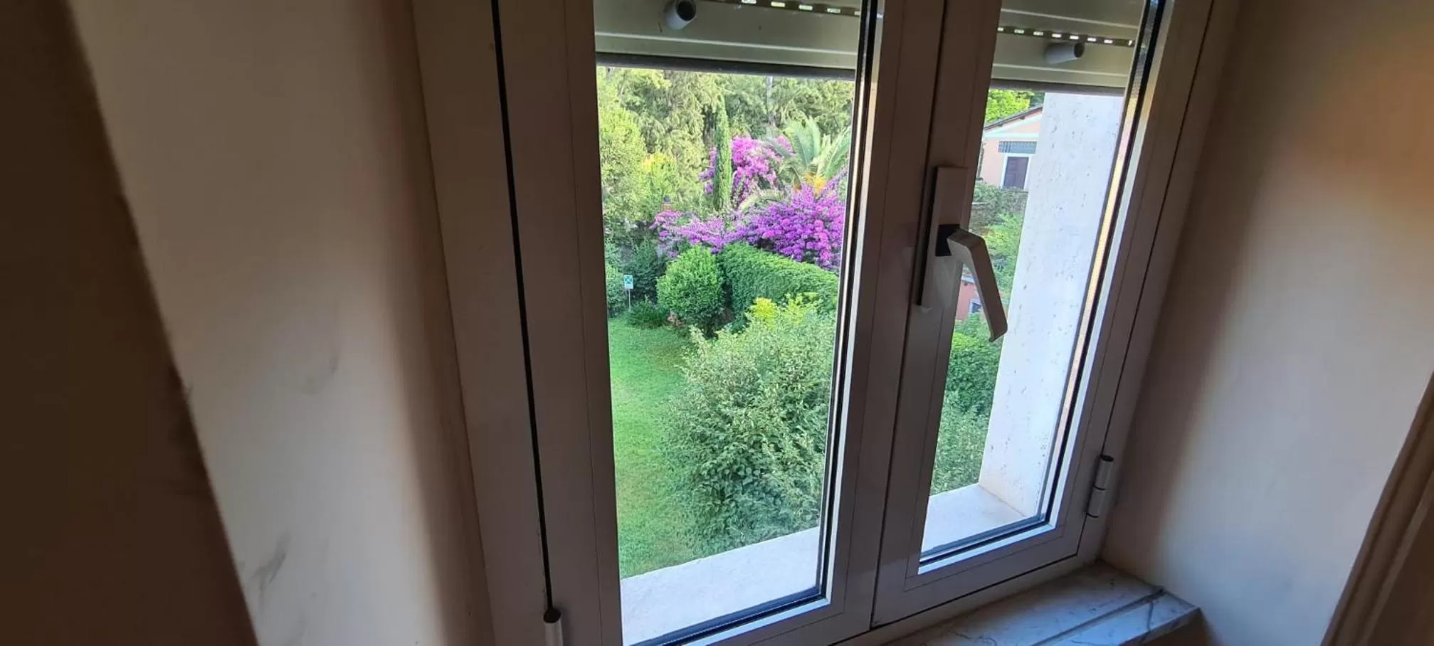 Garden in Villa Riari Garden