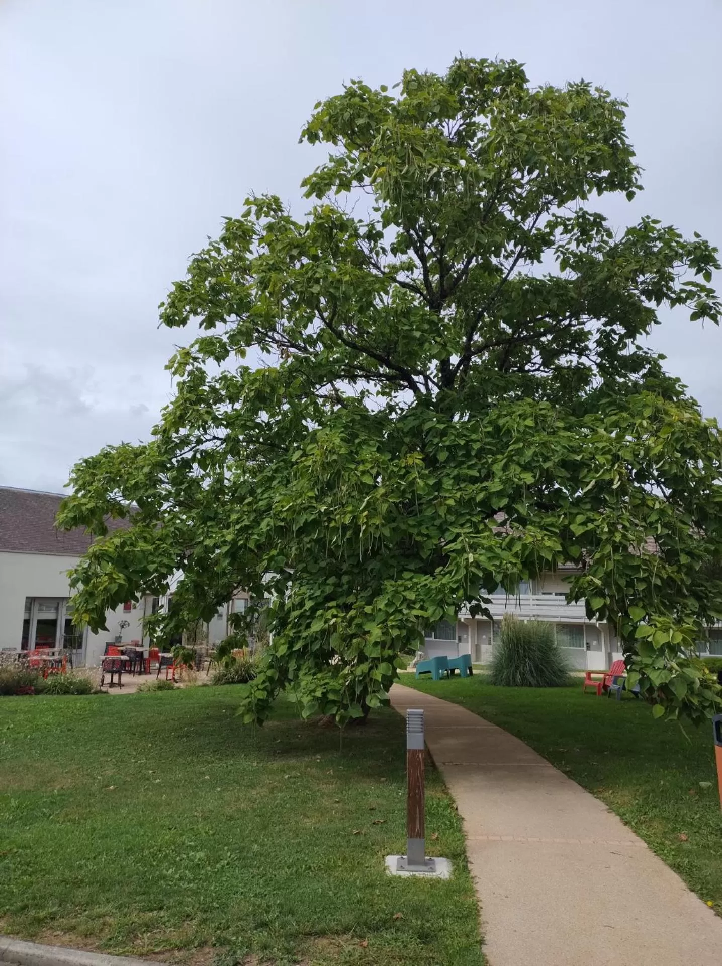Garden view in Hotel Campanile Besançon Nord Ecole Valentin