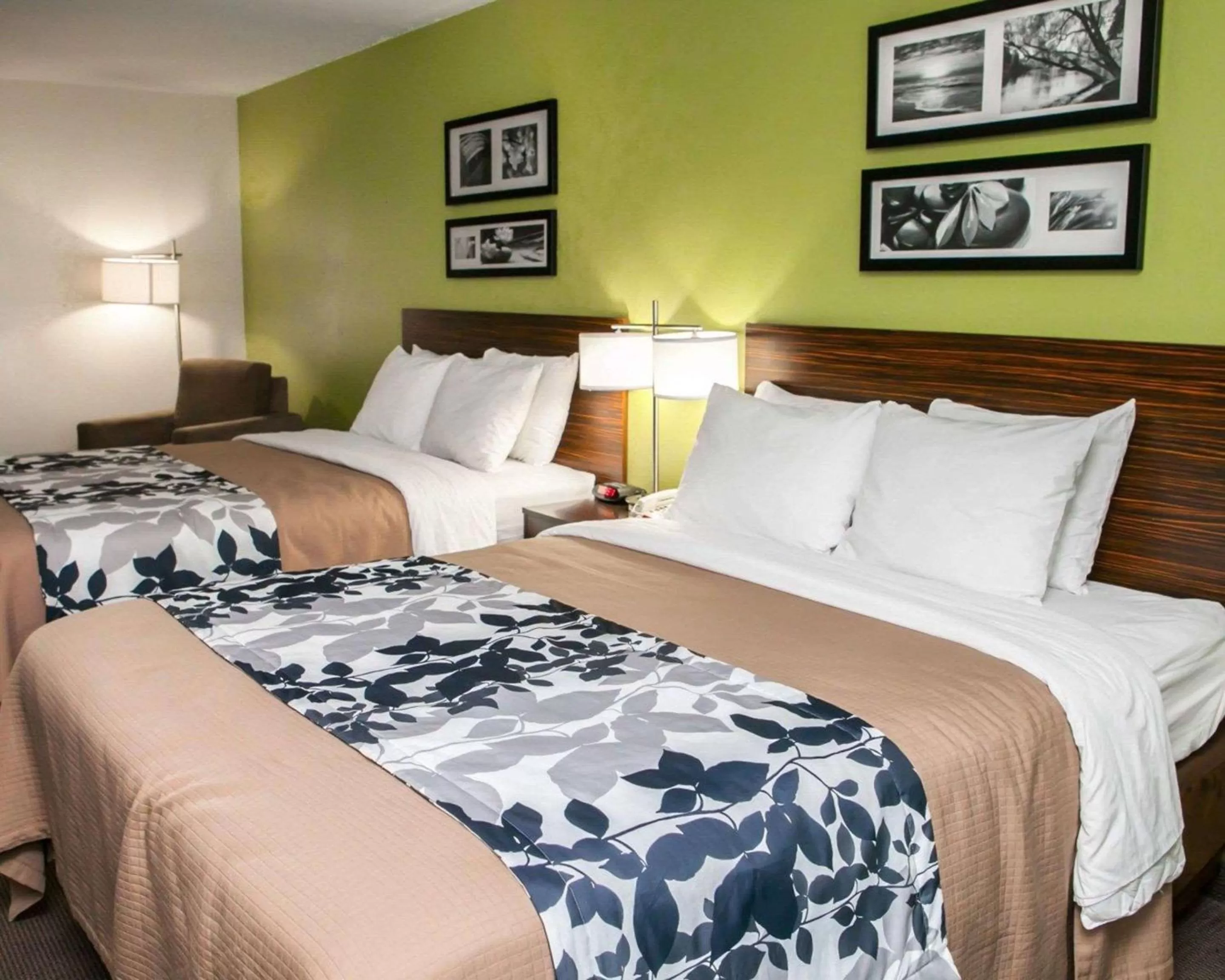 Photo of the whole room, Bed in Sleep Inn & Suites Harrisburg - Hershey North