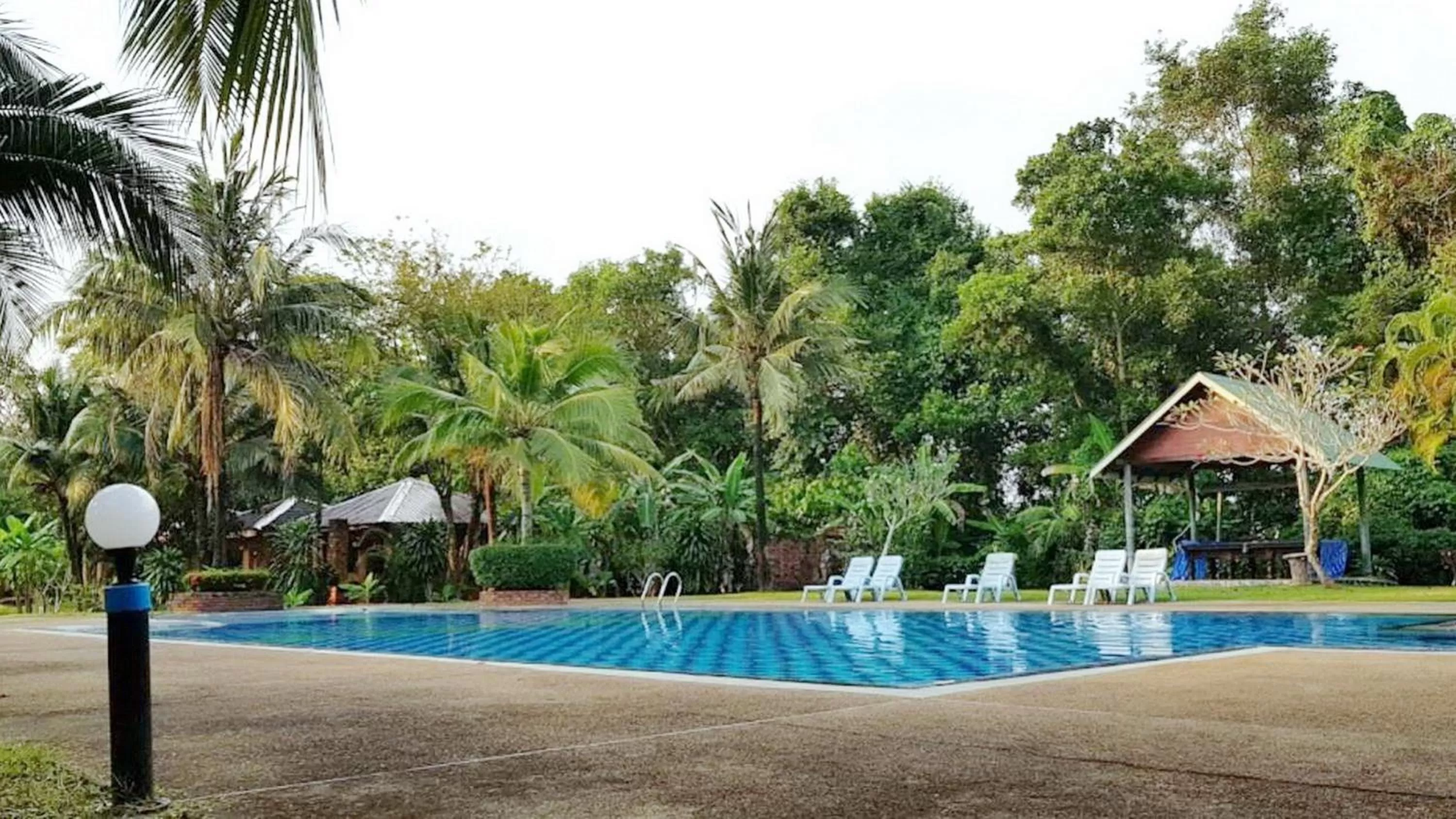Swimming pool in Doo Dee Boutique Resort by Swiss Chalet