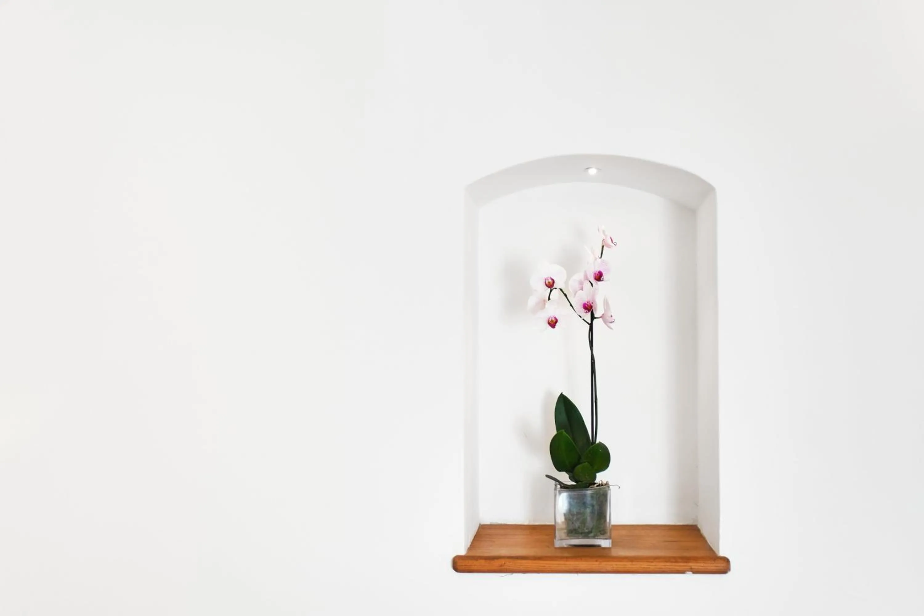 Decorative detail in Hotel Botanico San Lazzaro