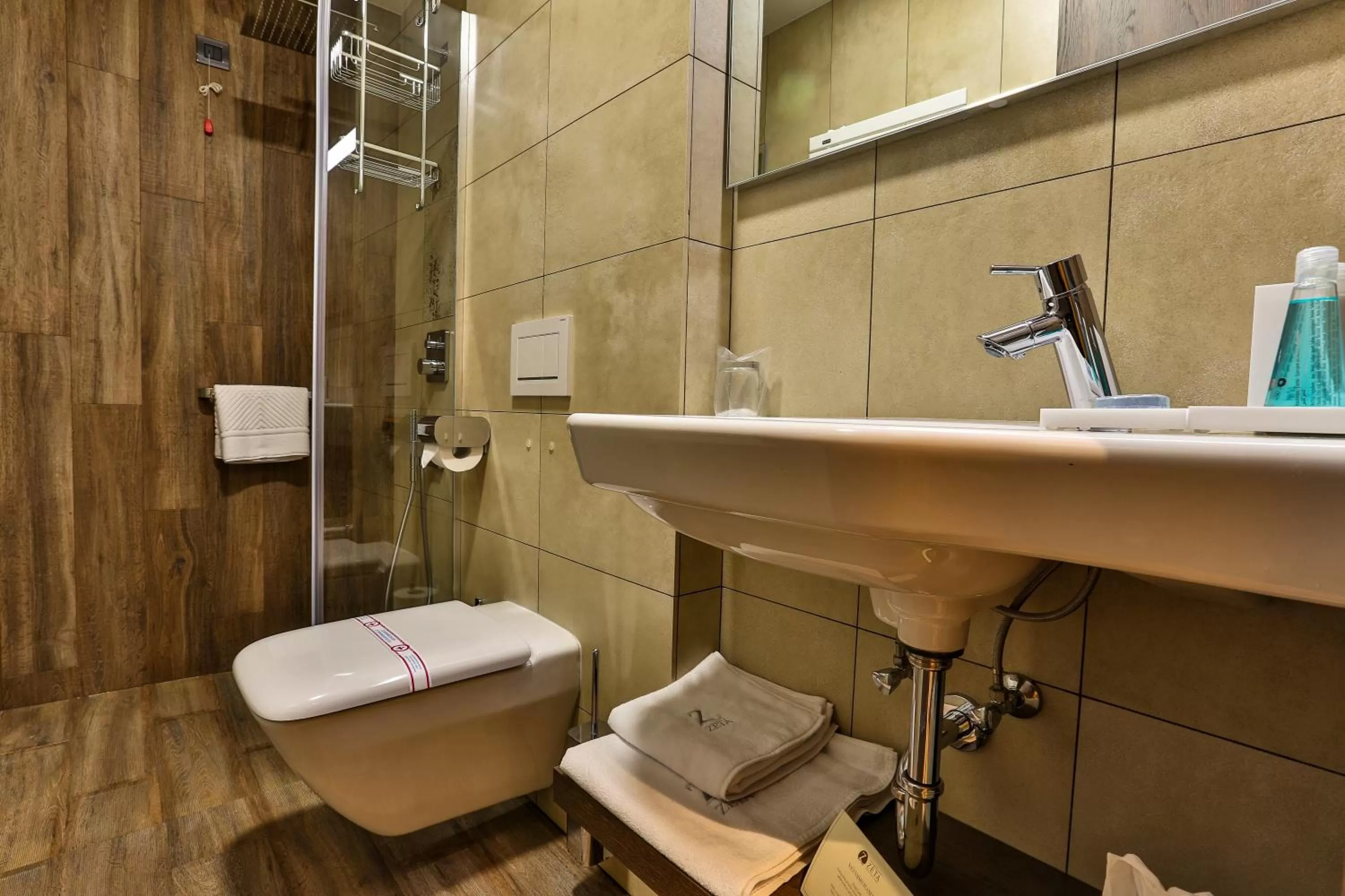 Shower in Hotel Zeta