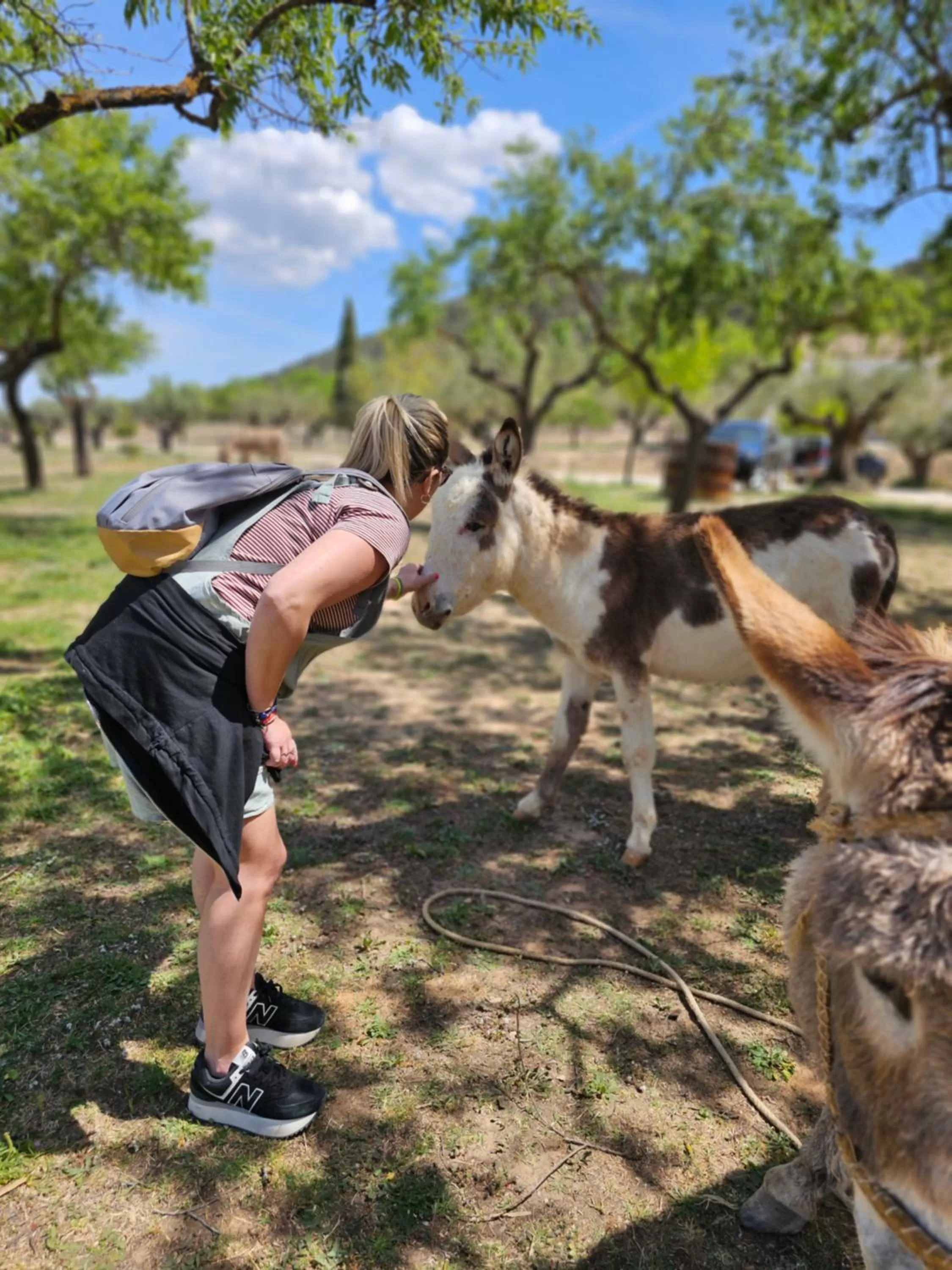 Other Animals in Finca la Yuca