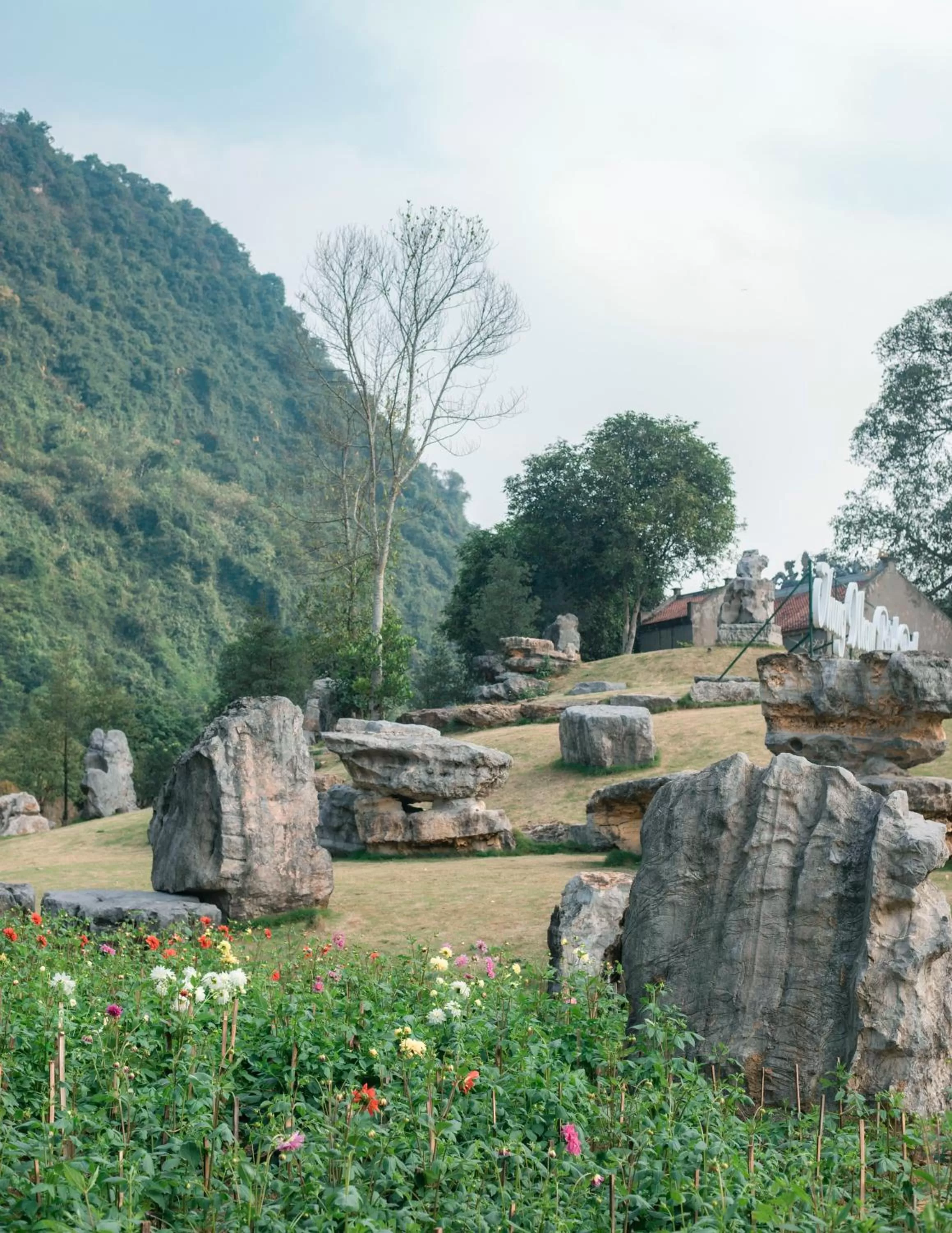 Natural landscape in Thung Nham Resort