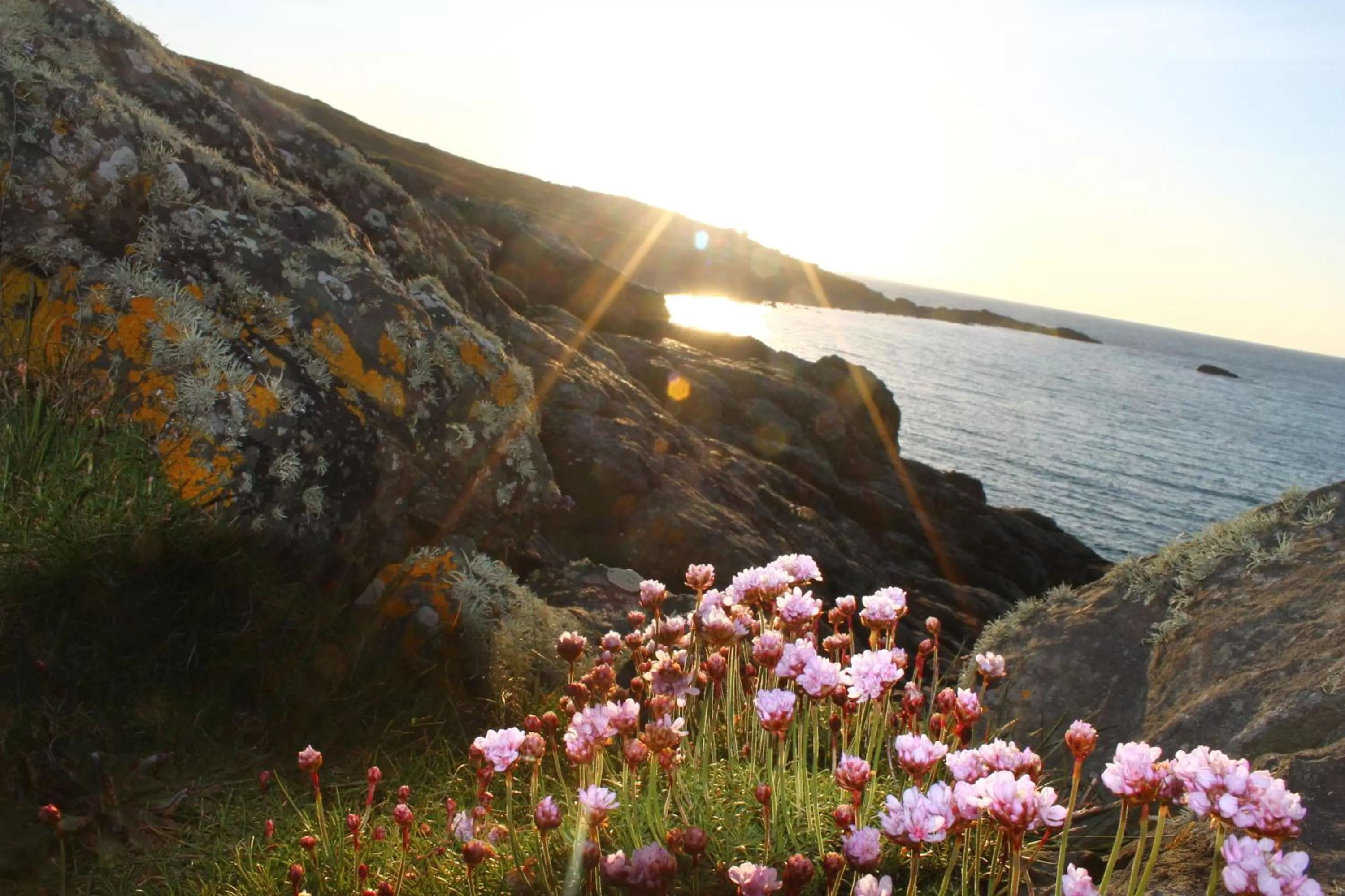 Area and facilities in The Western