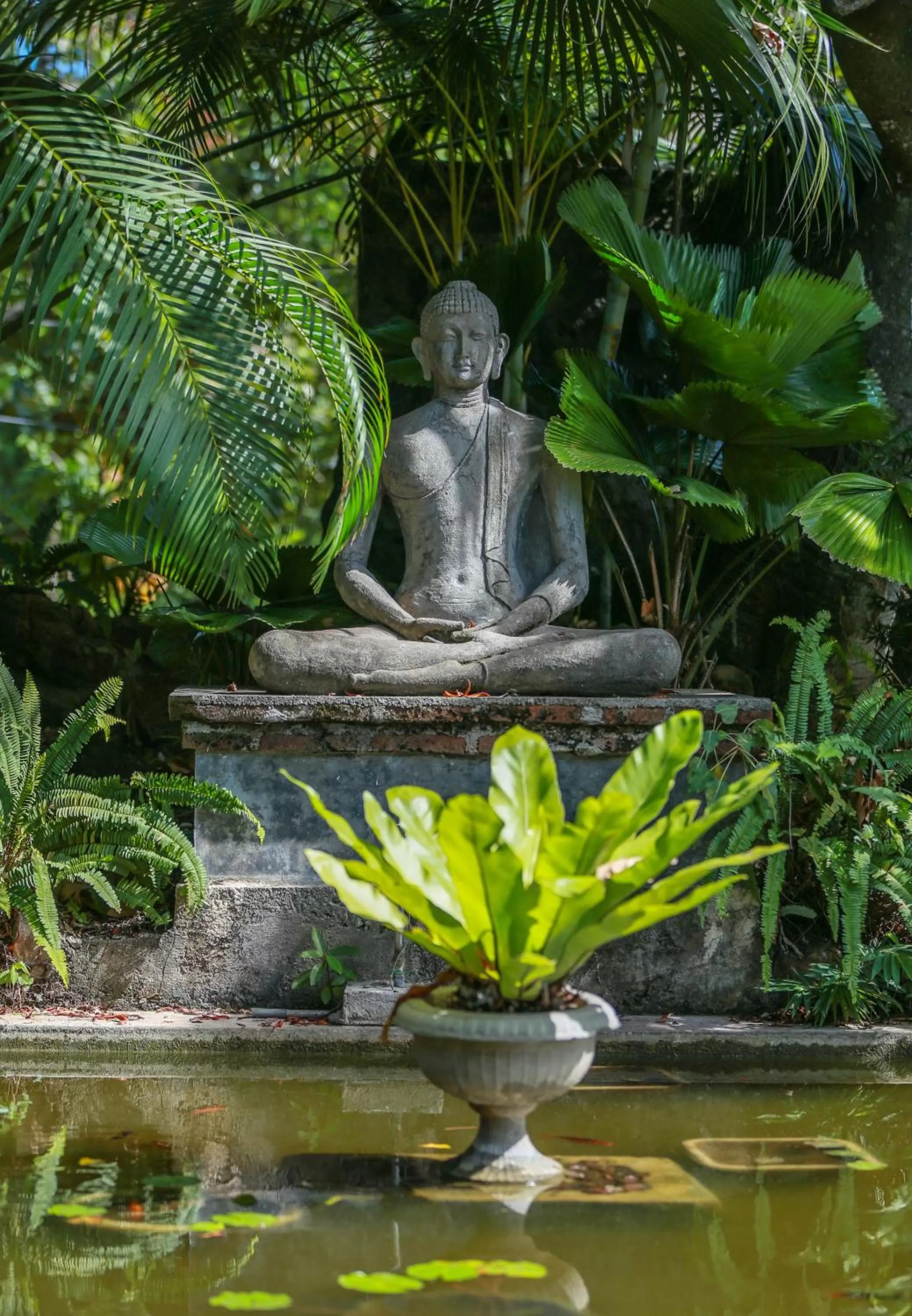 Natural landscape in Ella Planters Bungalow