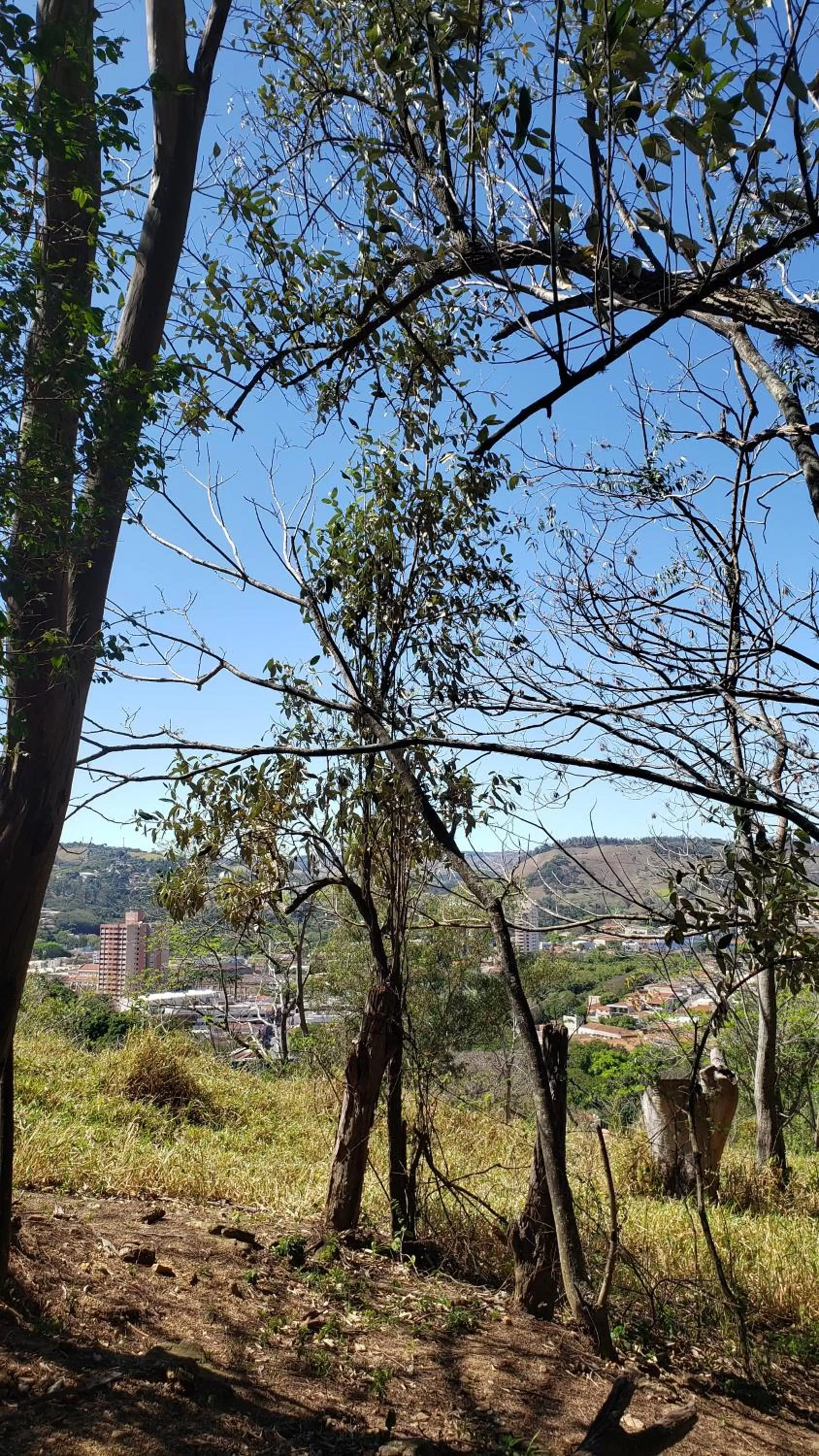 Hiking in Pousada Solar da Montanha