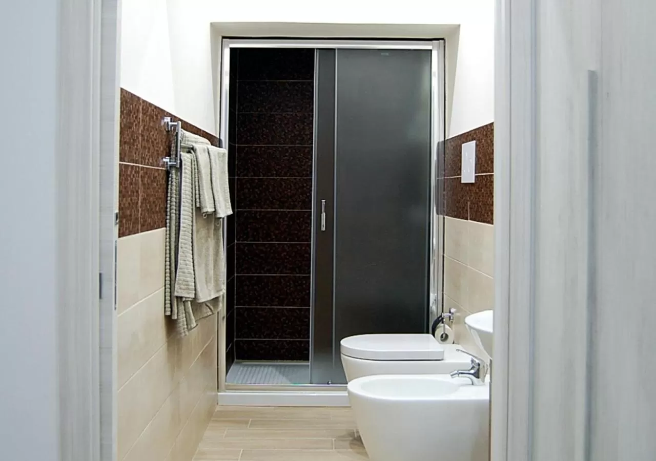 Shower in B&b Vittorio Emanuele II
