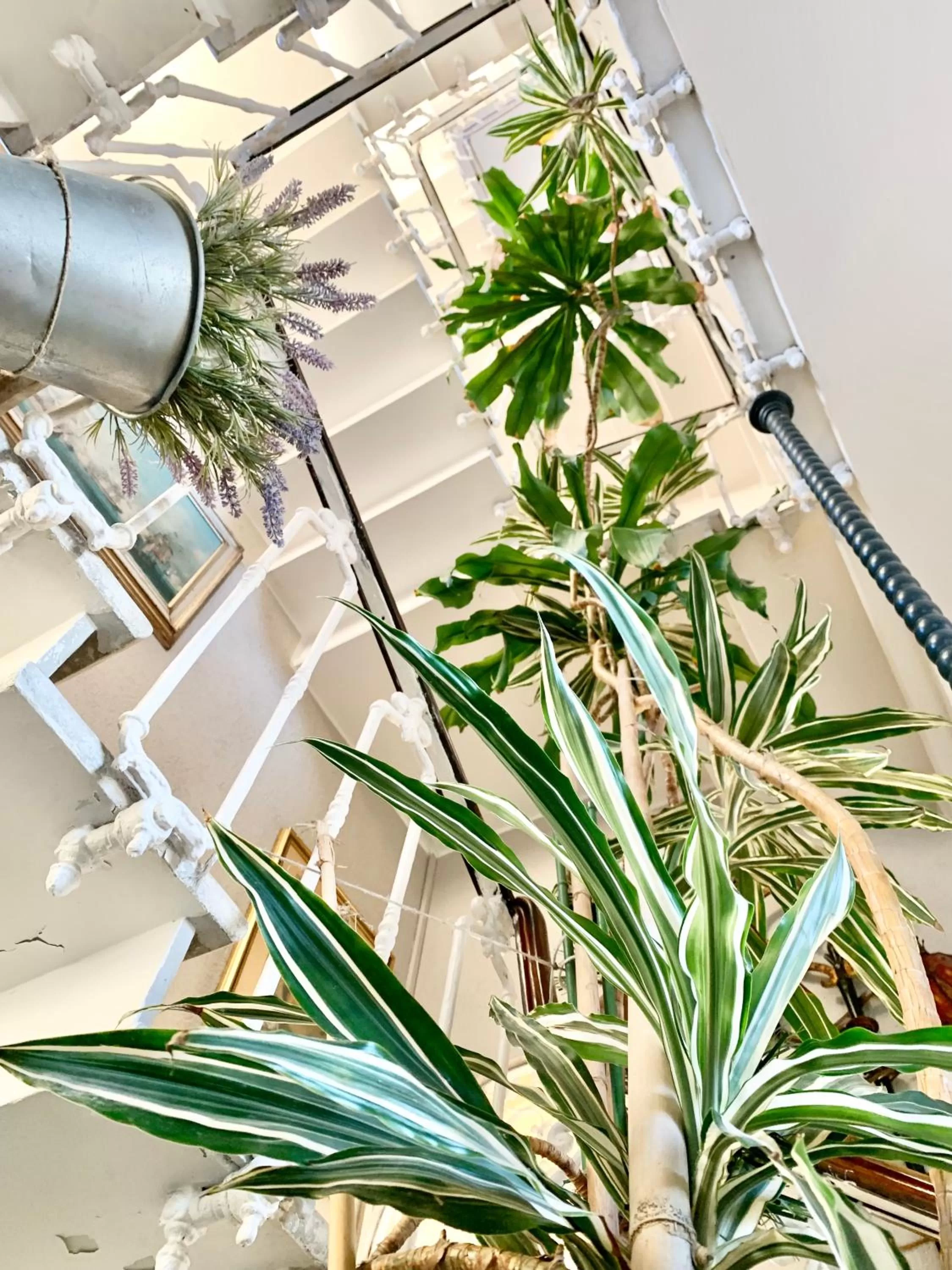 Hotel Castello Miramare