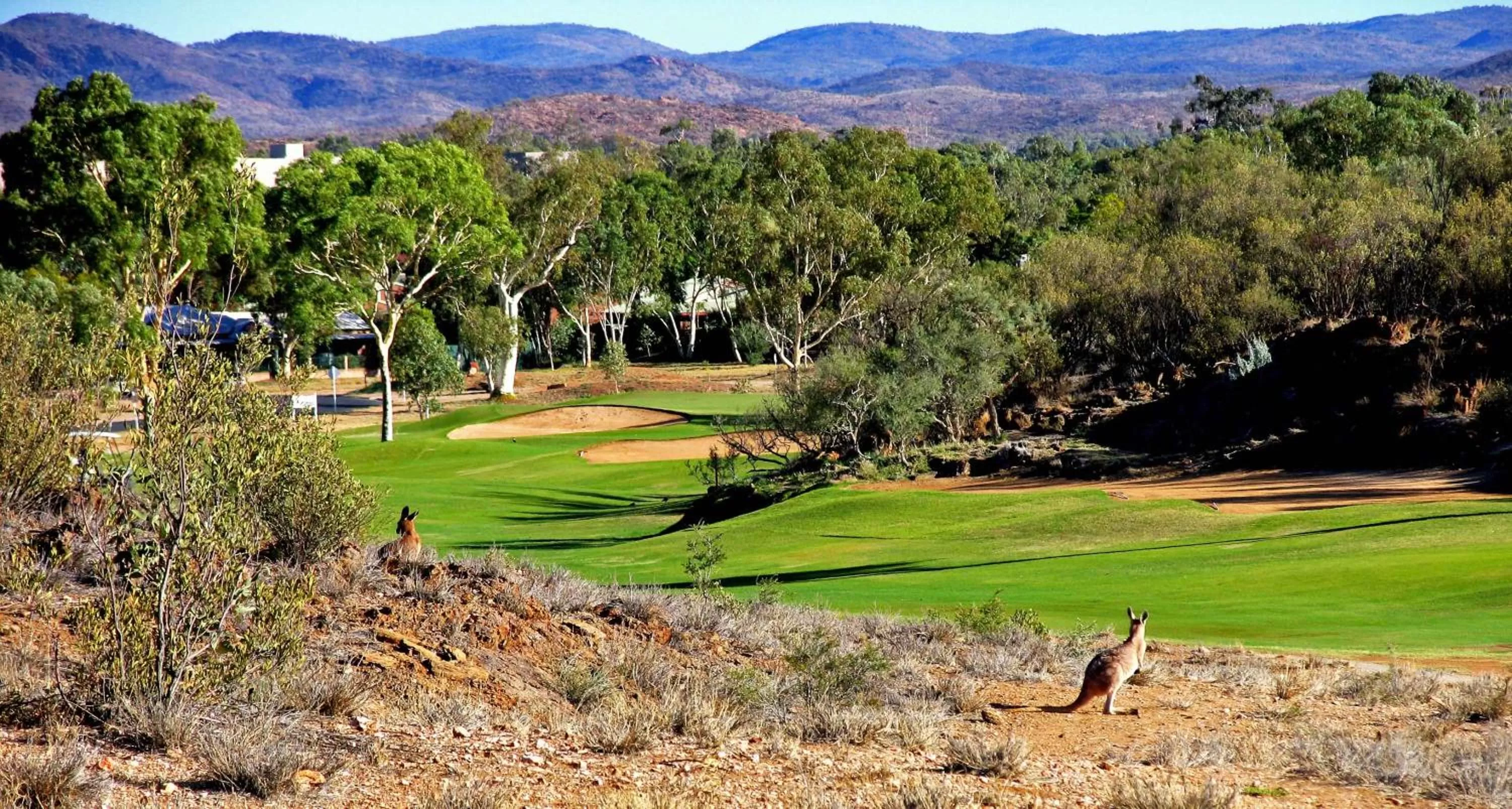 Golfcourse in Desert Palms Alice Springs