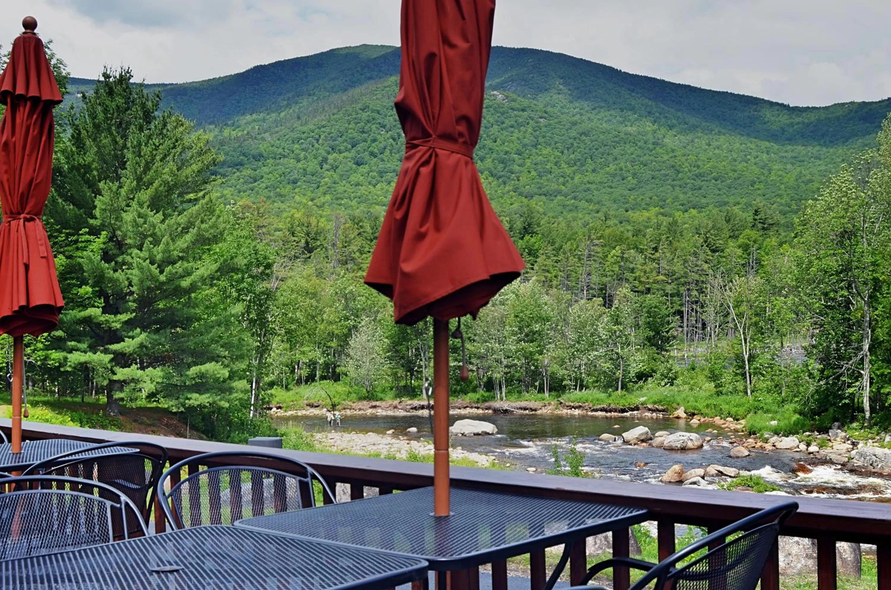 Restaurant/places to eat in Hungry Trout Resort