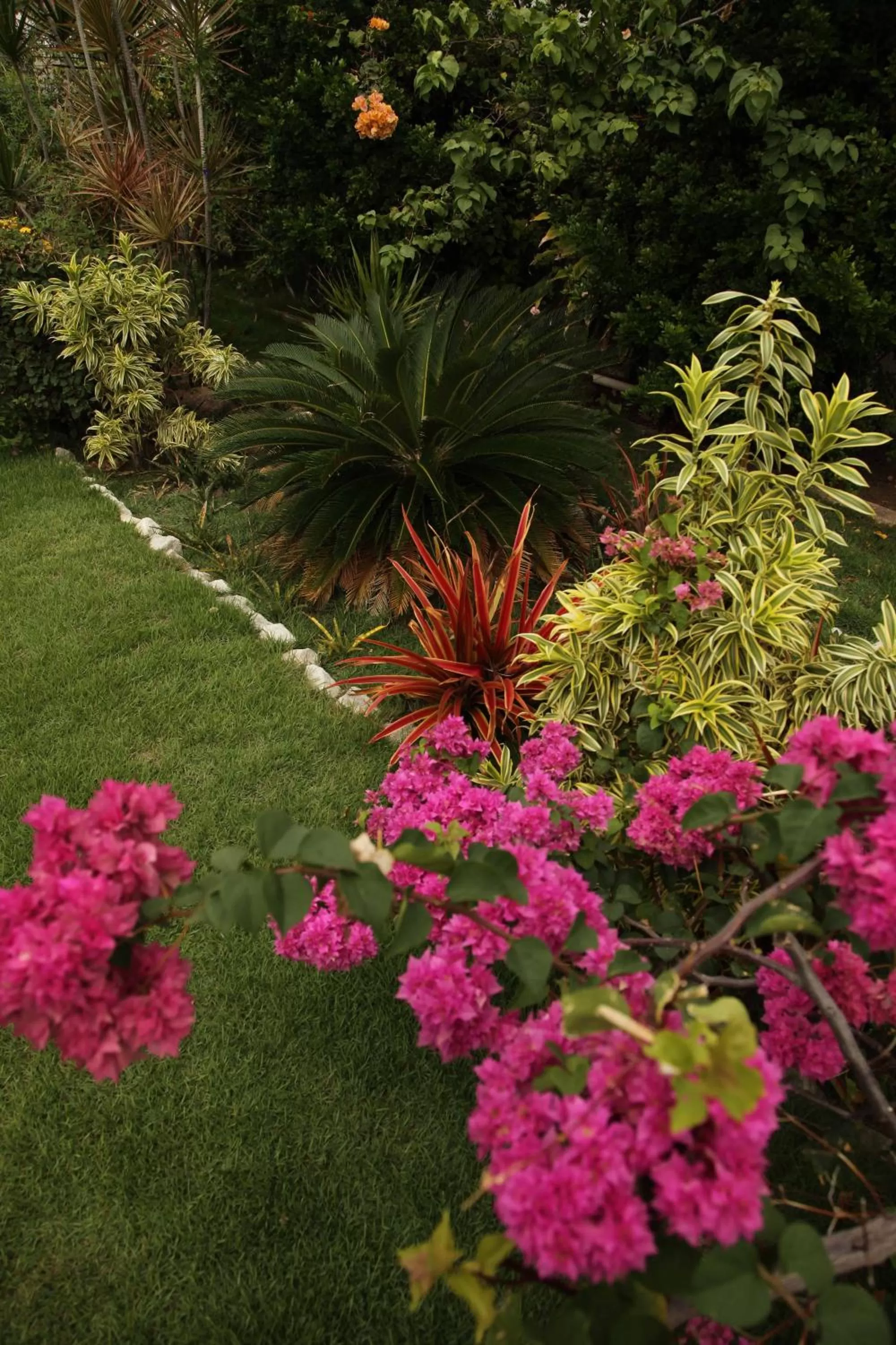Day, Garden in Hotel Jardim