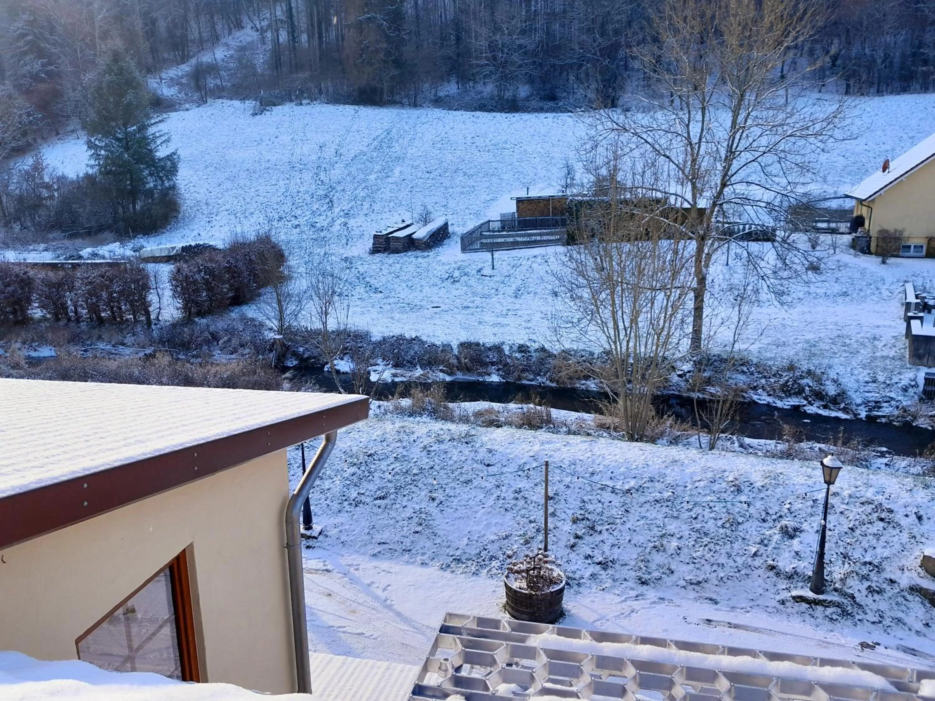 Garden view in Kelterhotel Fröscher