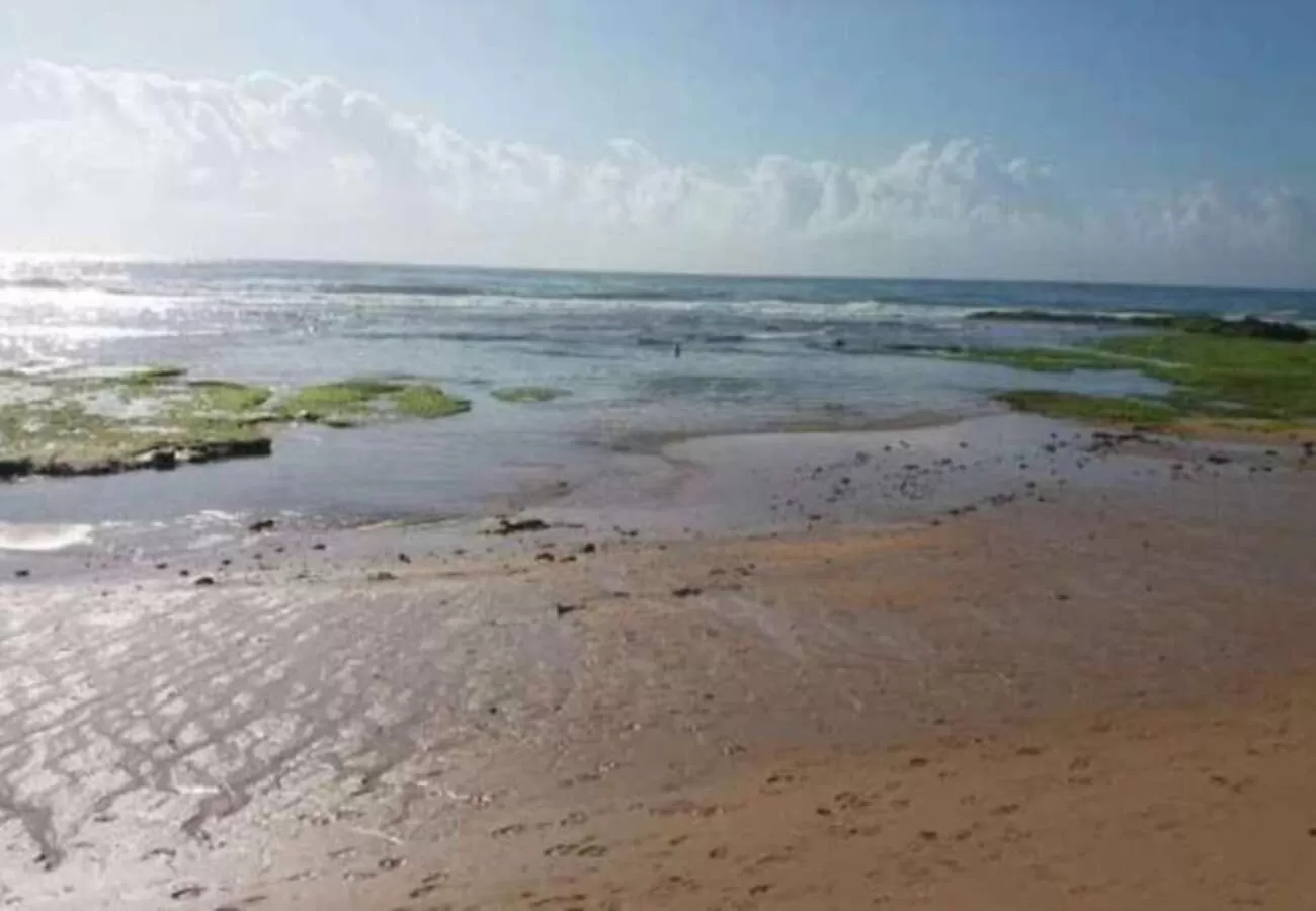 Sol de Bora Bora 101