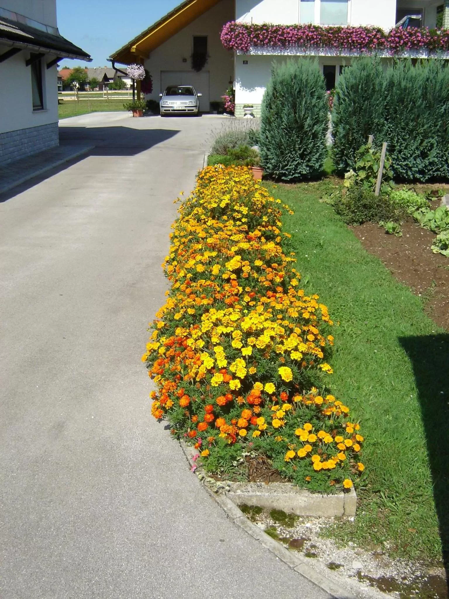 Garden in Rooms & Apartments Jana