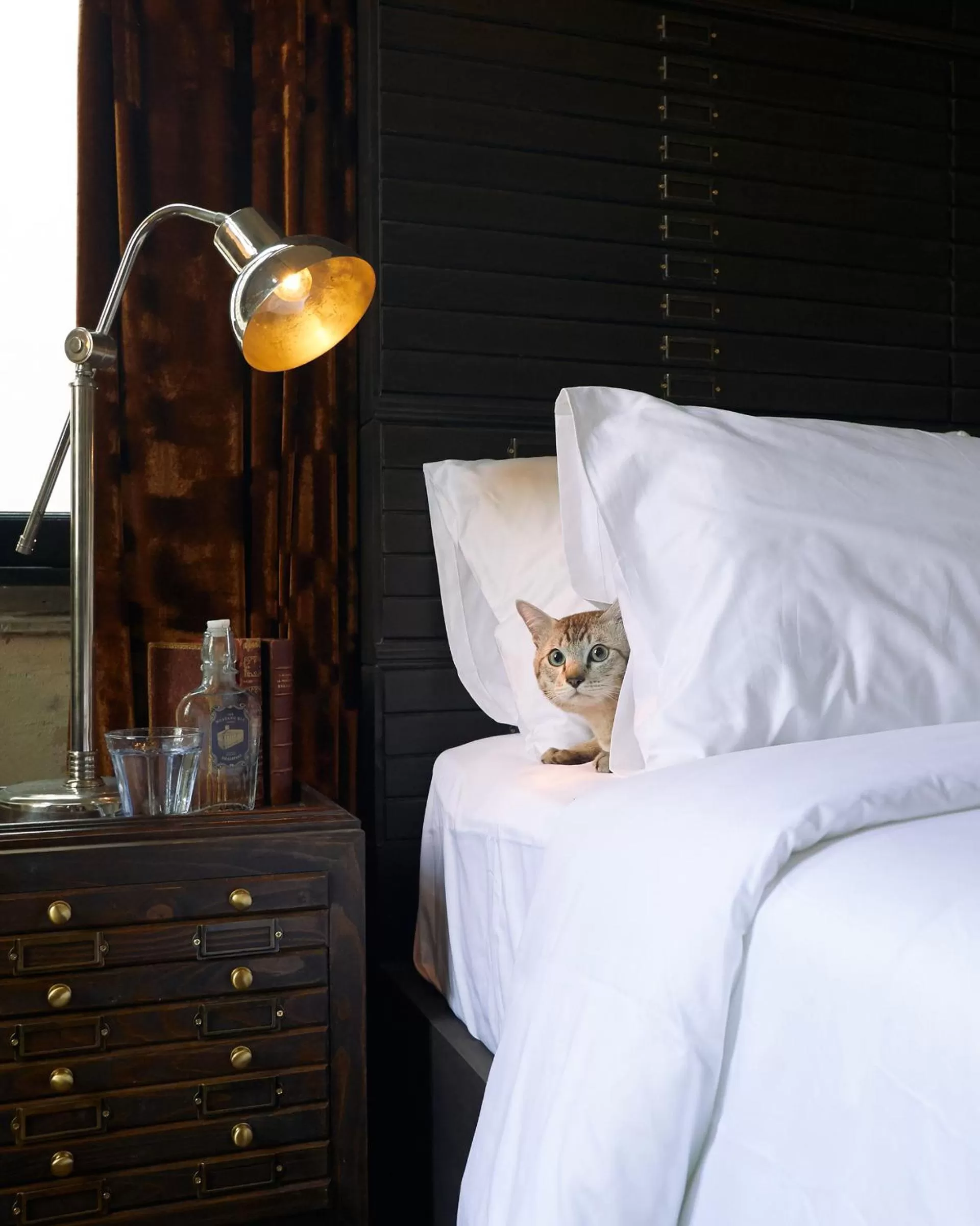 Bed in The Mustang Blu