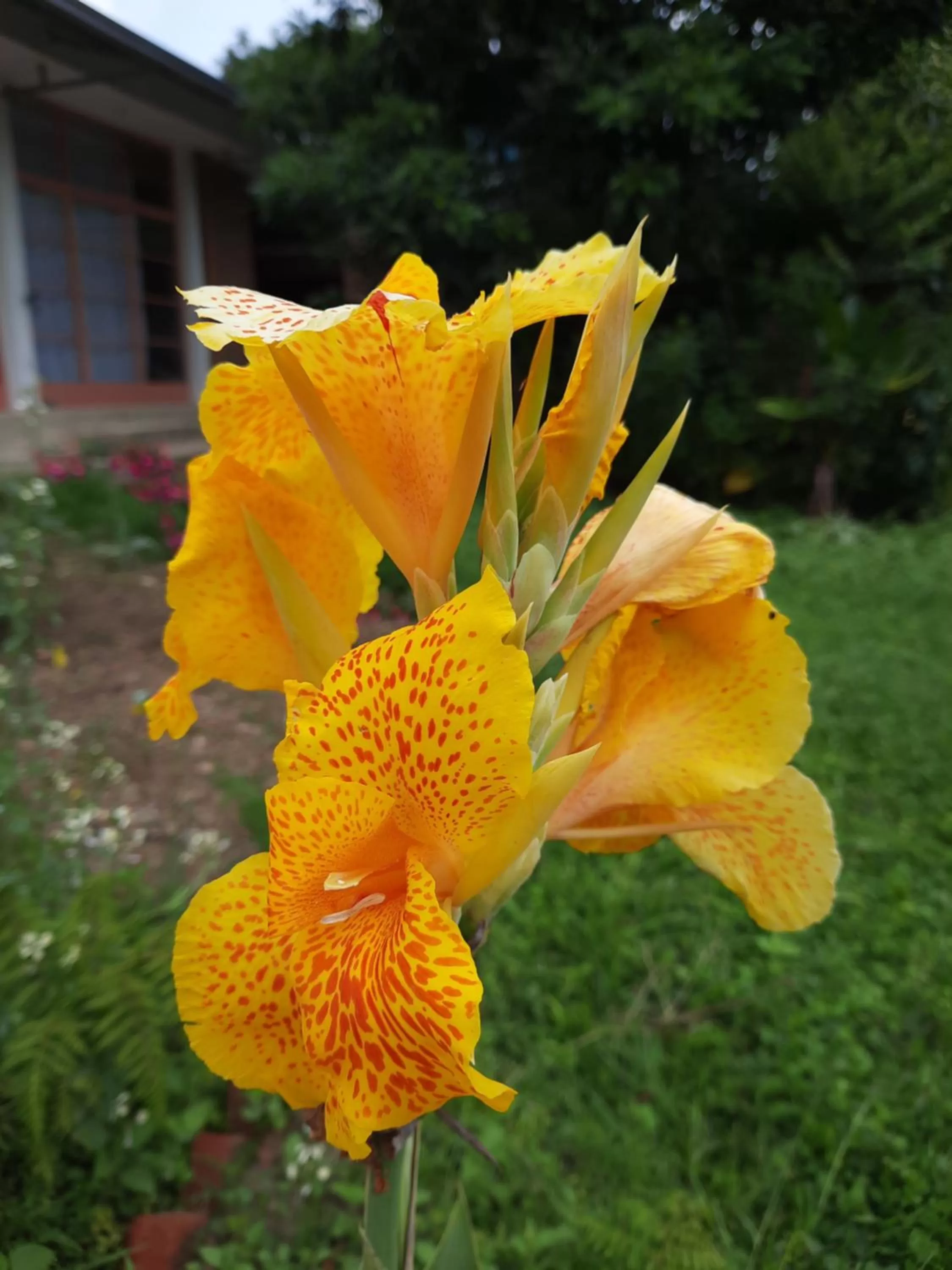 Day in Isange Paradise Resort