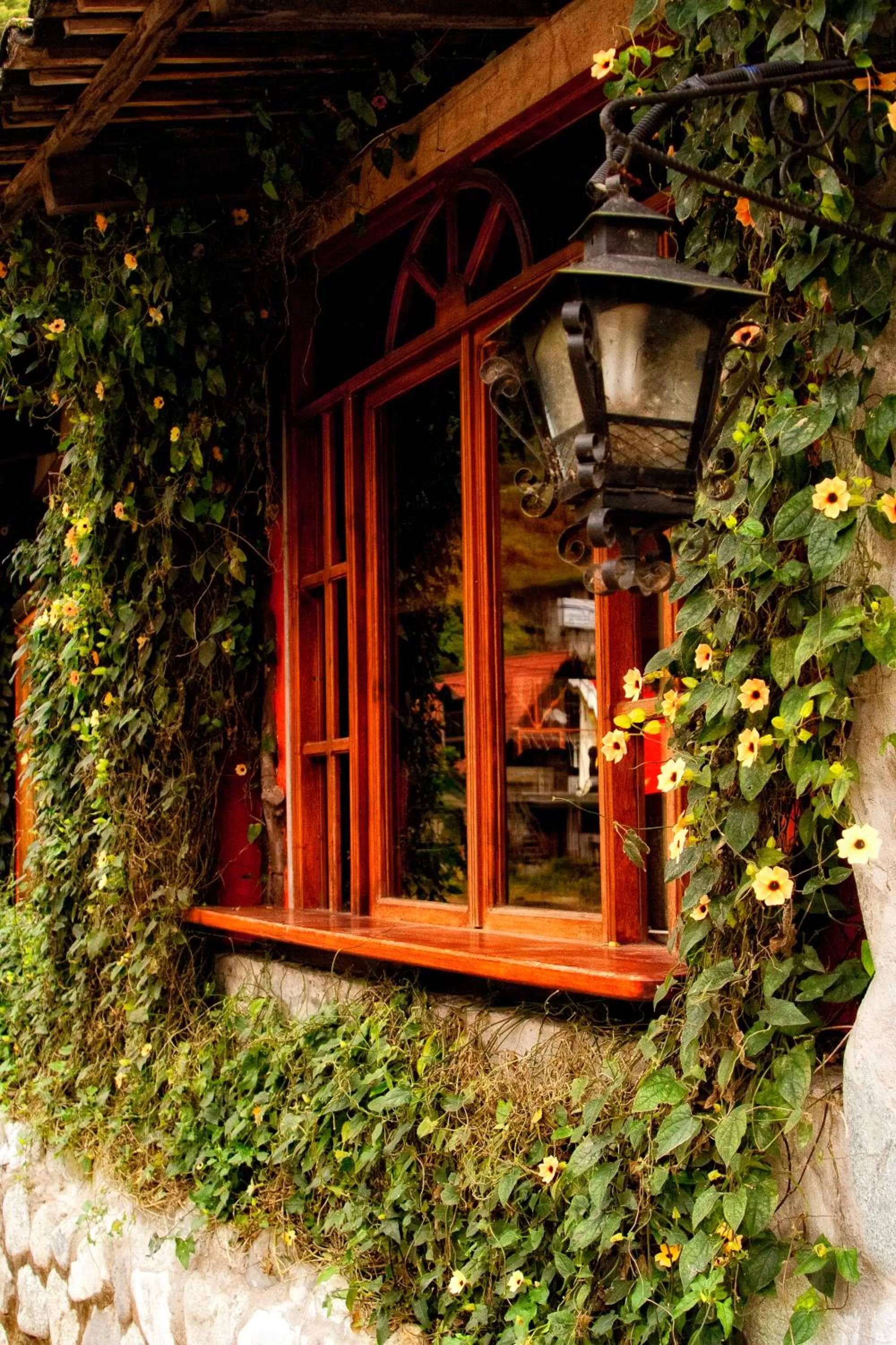 Garden, Patio/Outdoor Area in Spa Hosteria Miramelindo