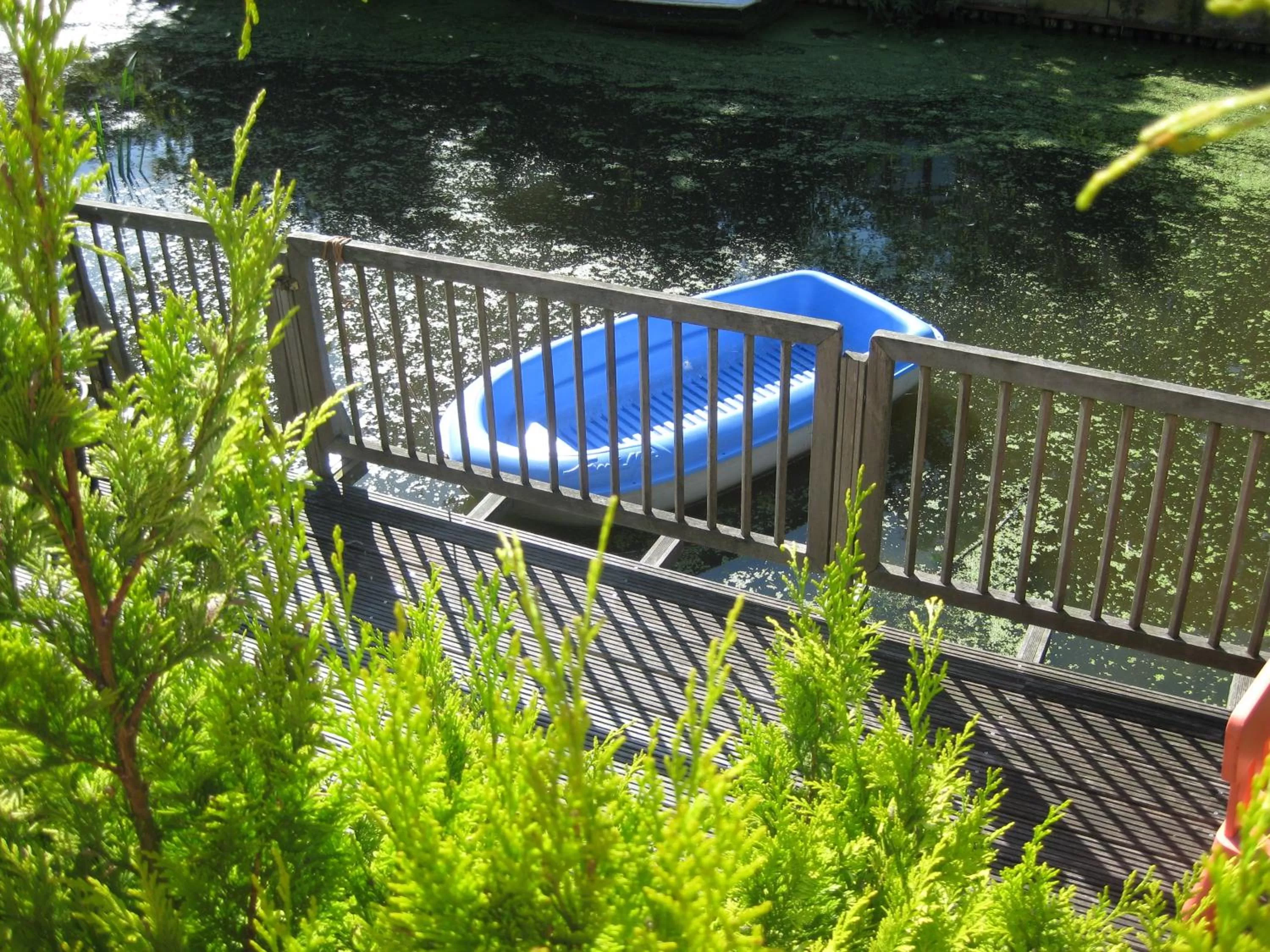 Garden in Quarenta Studio