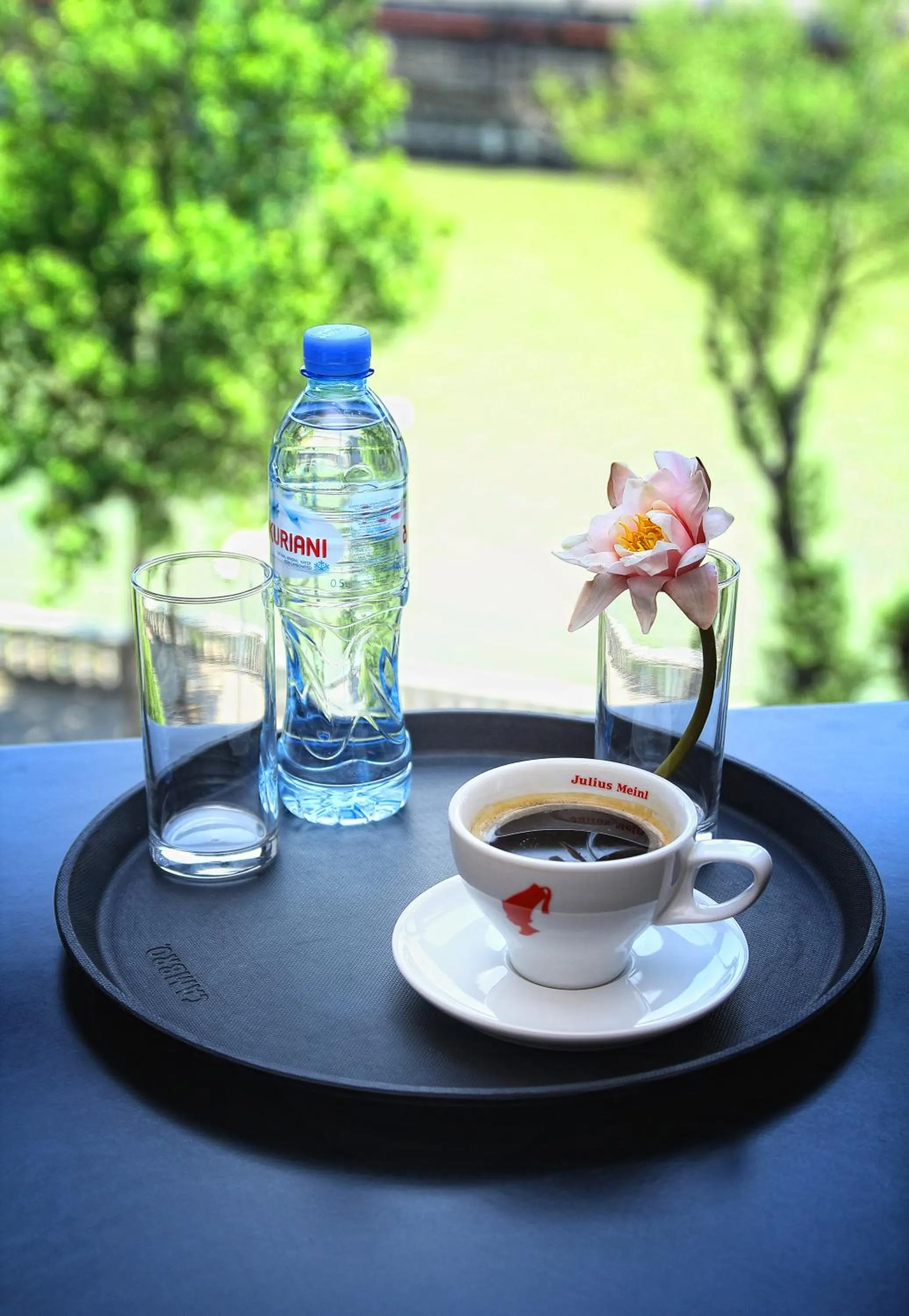 River view in Rogalux Blue