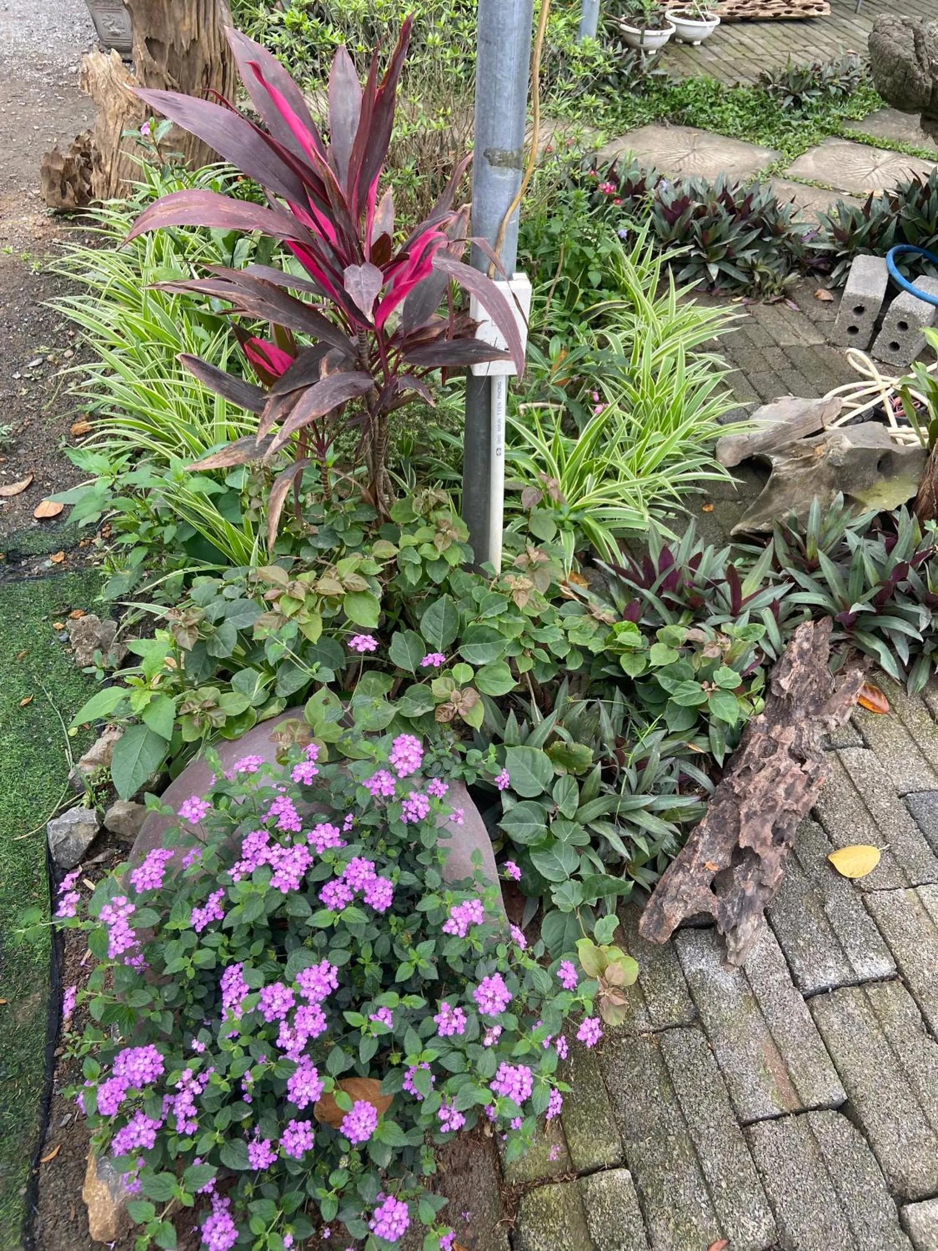 Garden in Tam Coc Mountain View Homestay