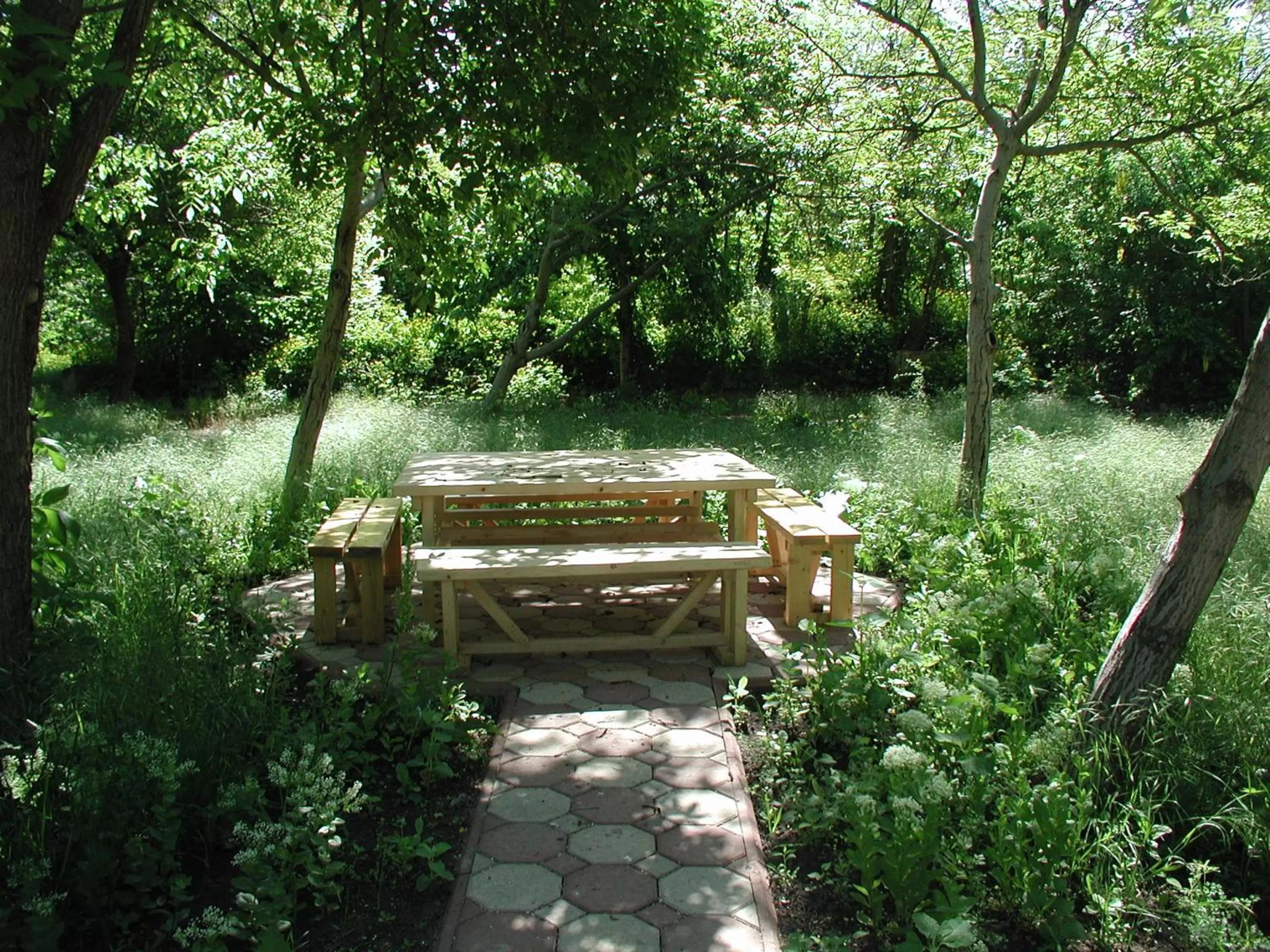 Activities in Zelenyi Kampus