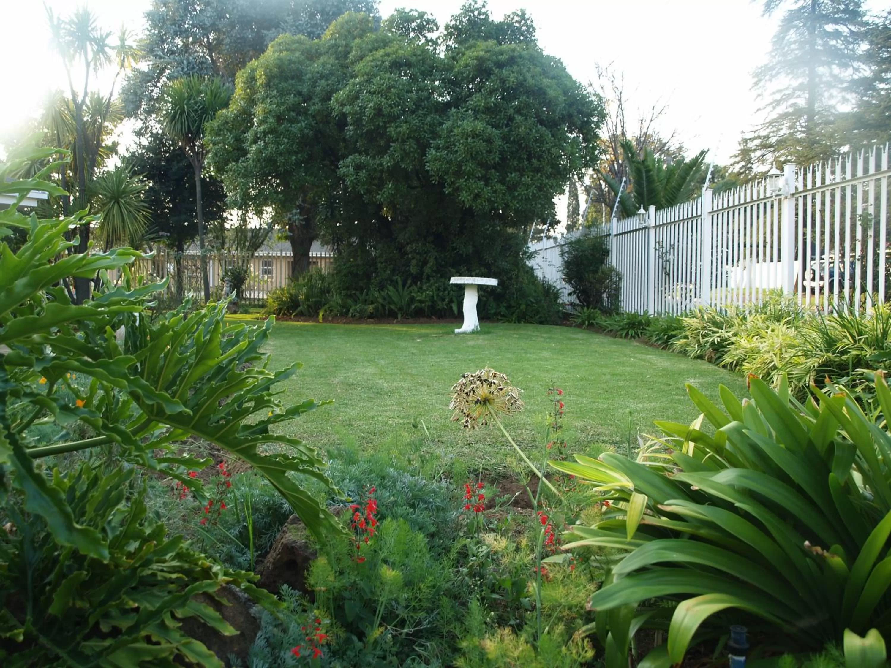 Garden view, Garden in Moye Guest House