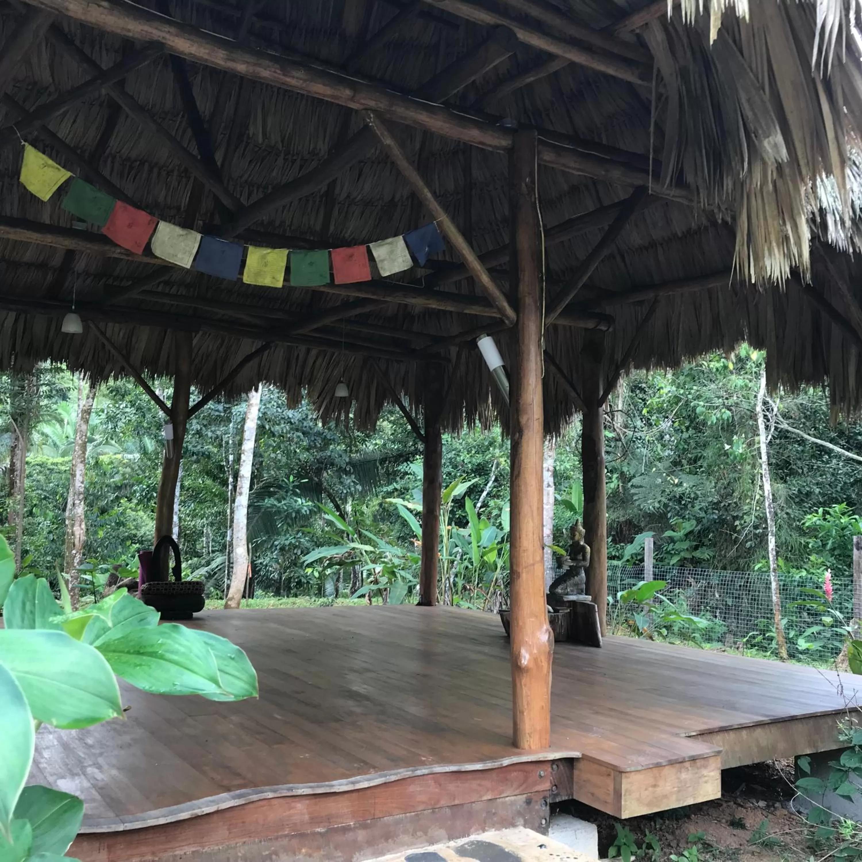 Activities in Sattva Land