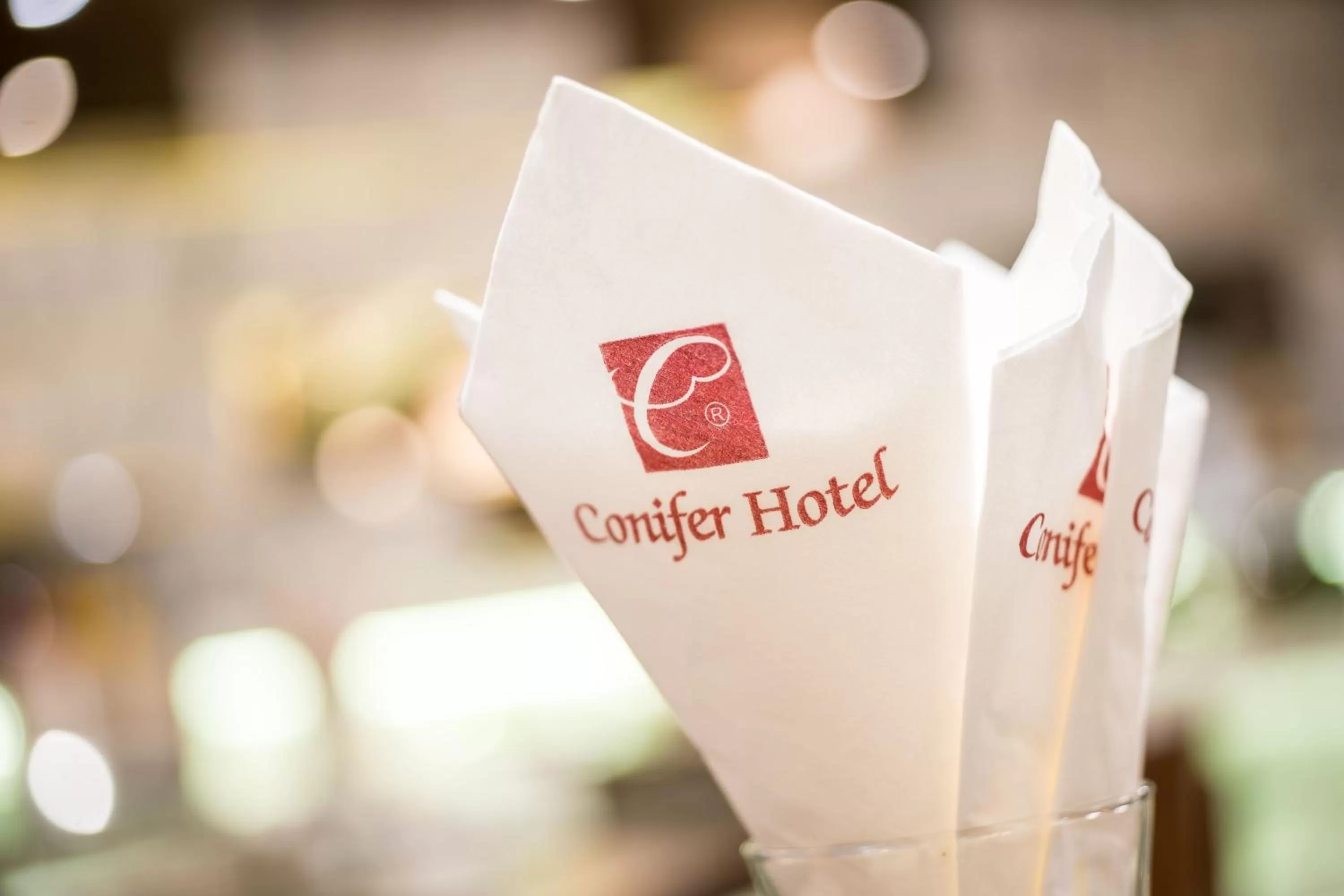 Property logo or sign in Conifer Grand Hotel