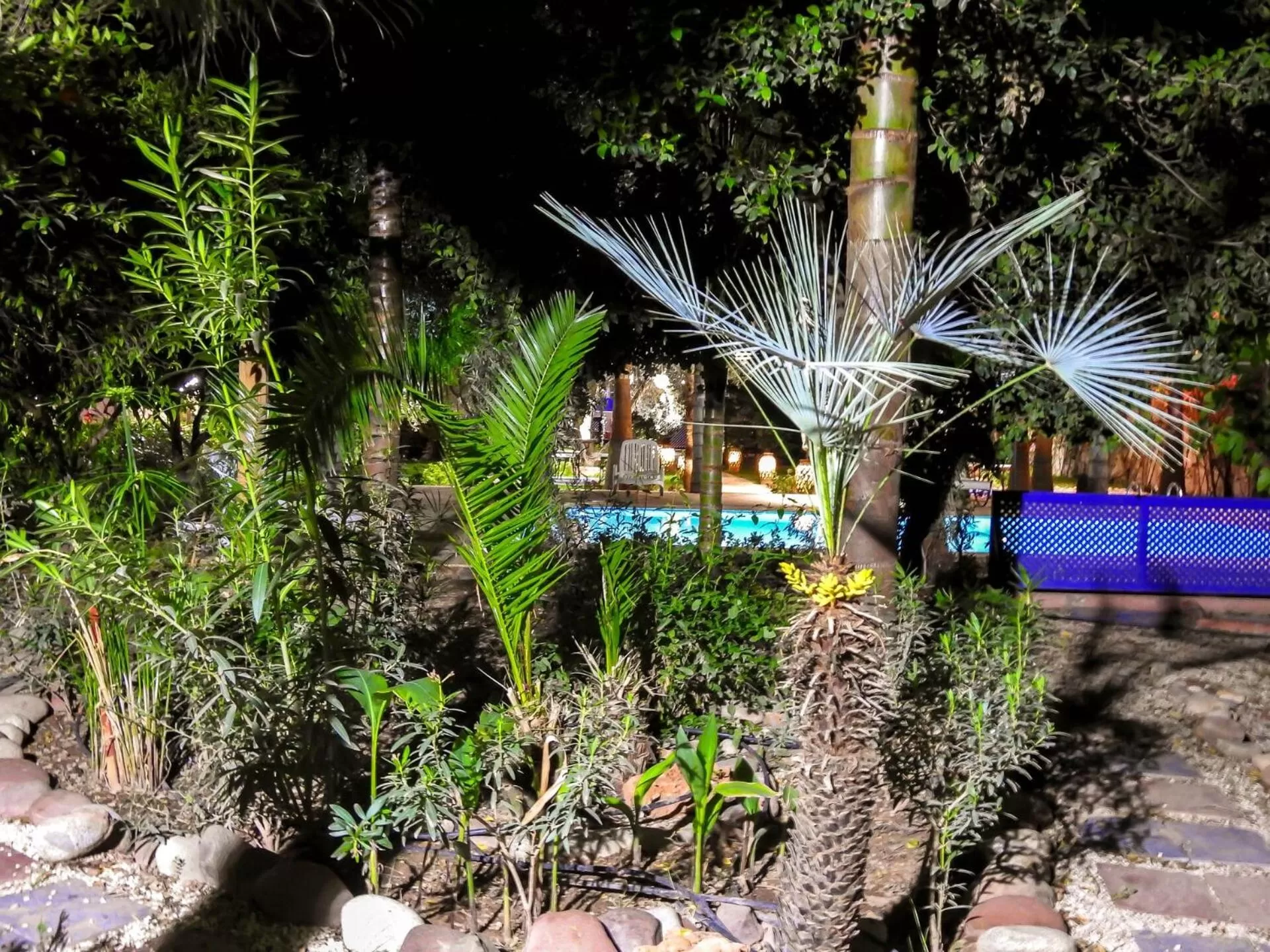 Garden in Le Bleu House