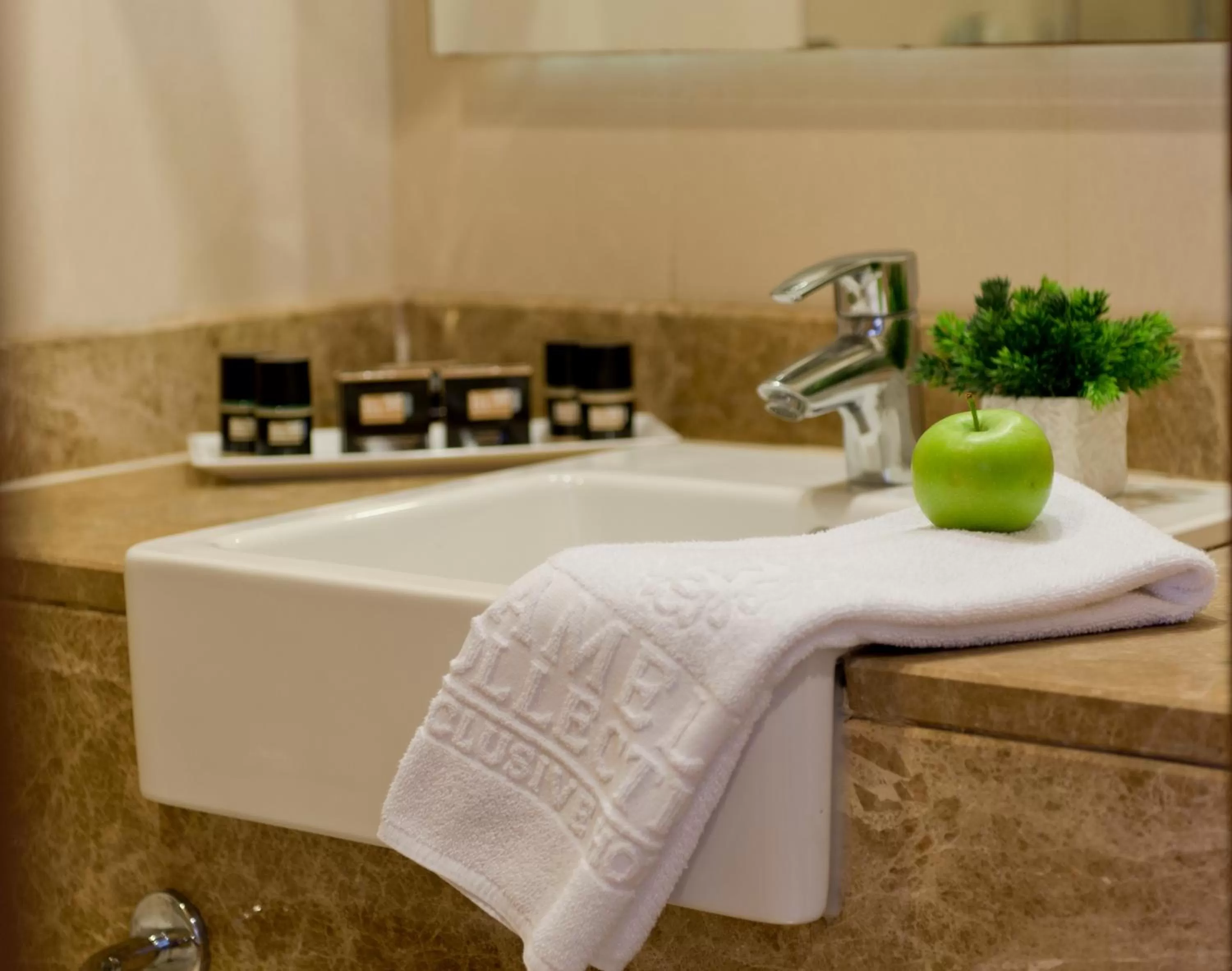 Deluxe Room Sea Side View in Kamelya Selin Hotel Luxury Resort & SPA