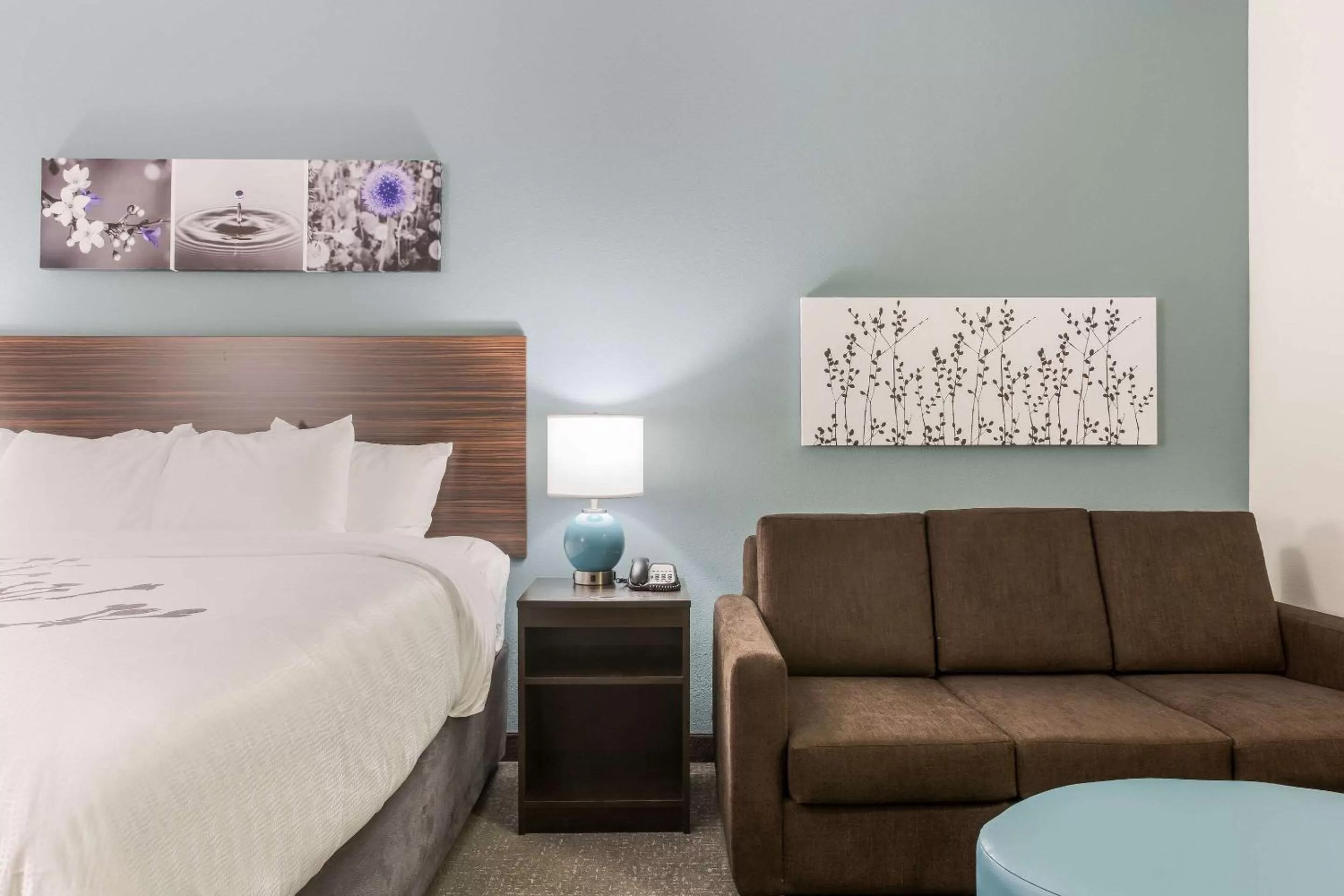 Photo of the whole room, Bed in Sleep Inn & Suites Webb City