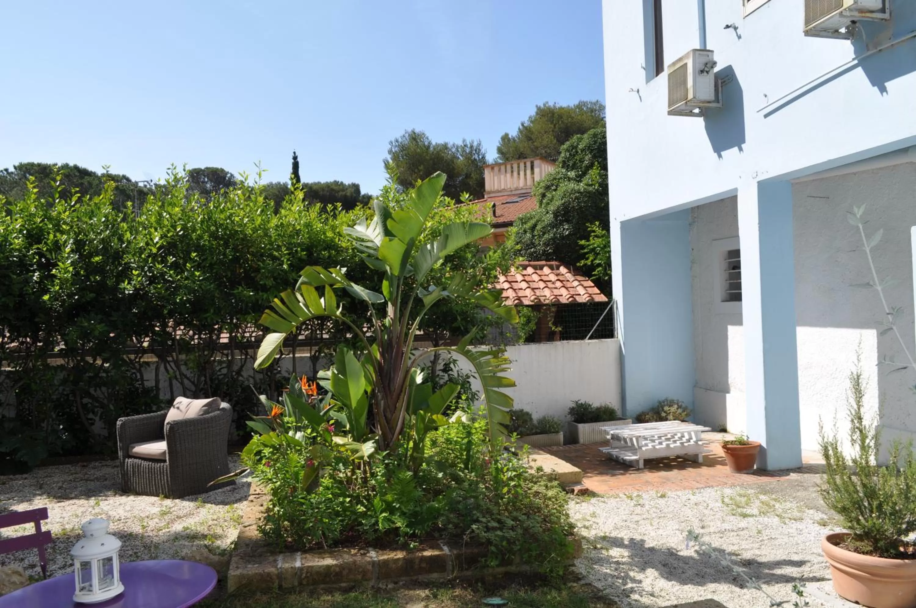 Garden in Guerrini Hotel