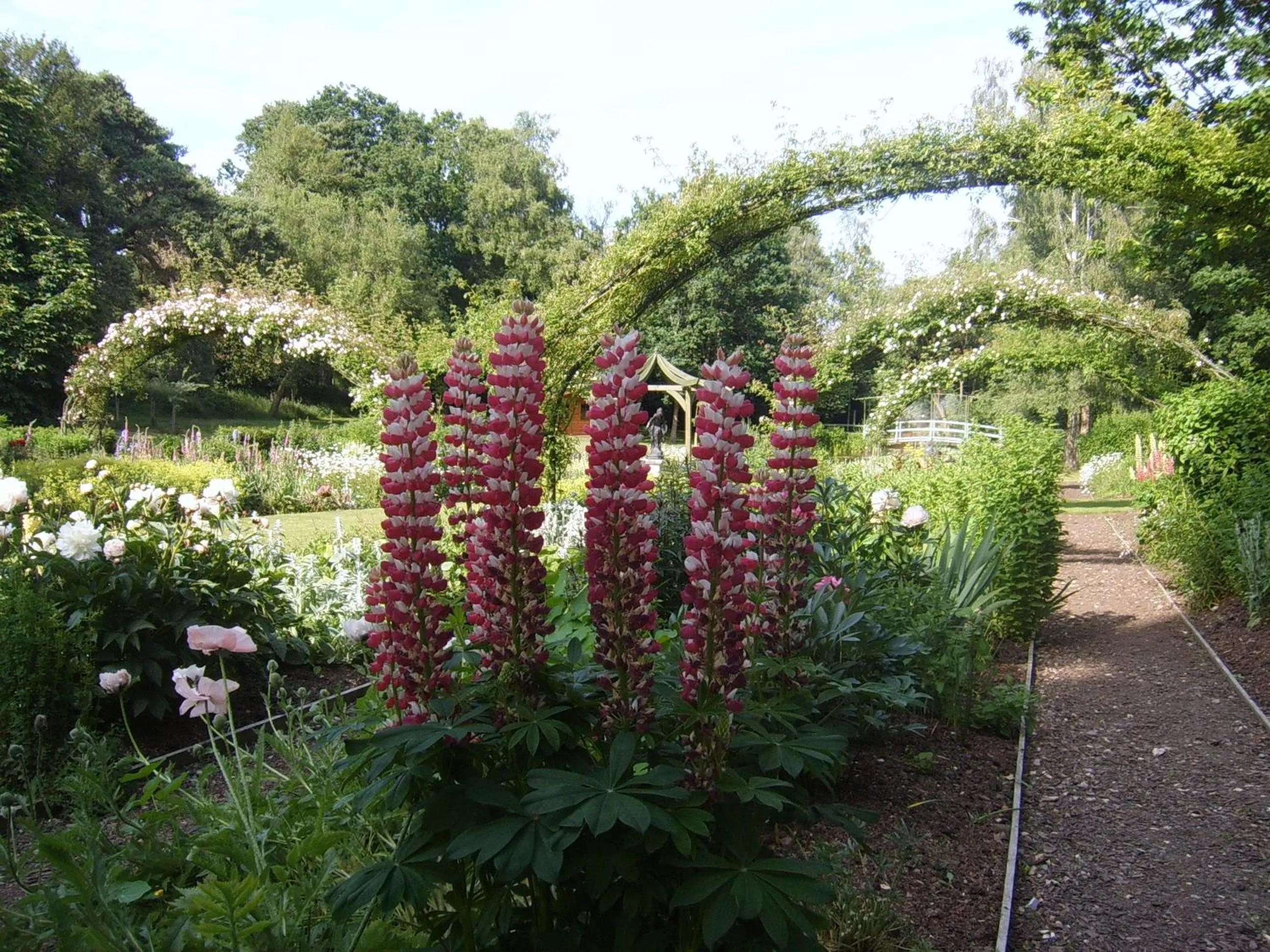 Garden in Passford House Hotel