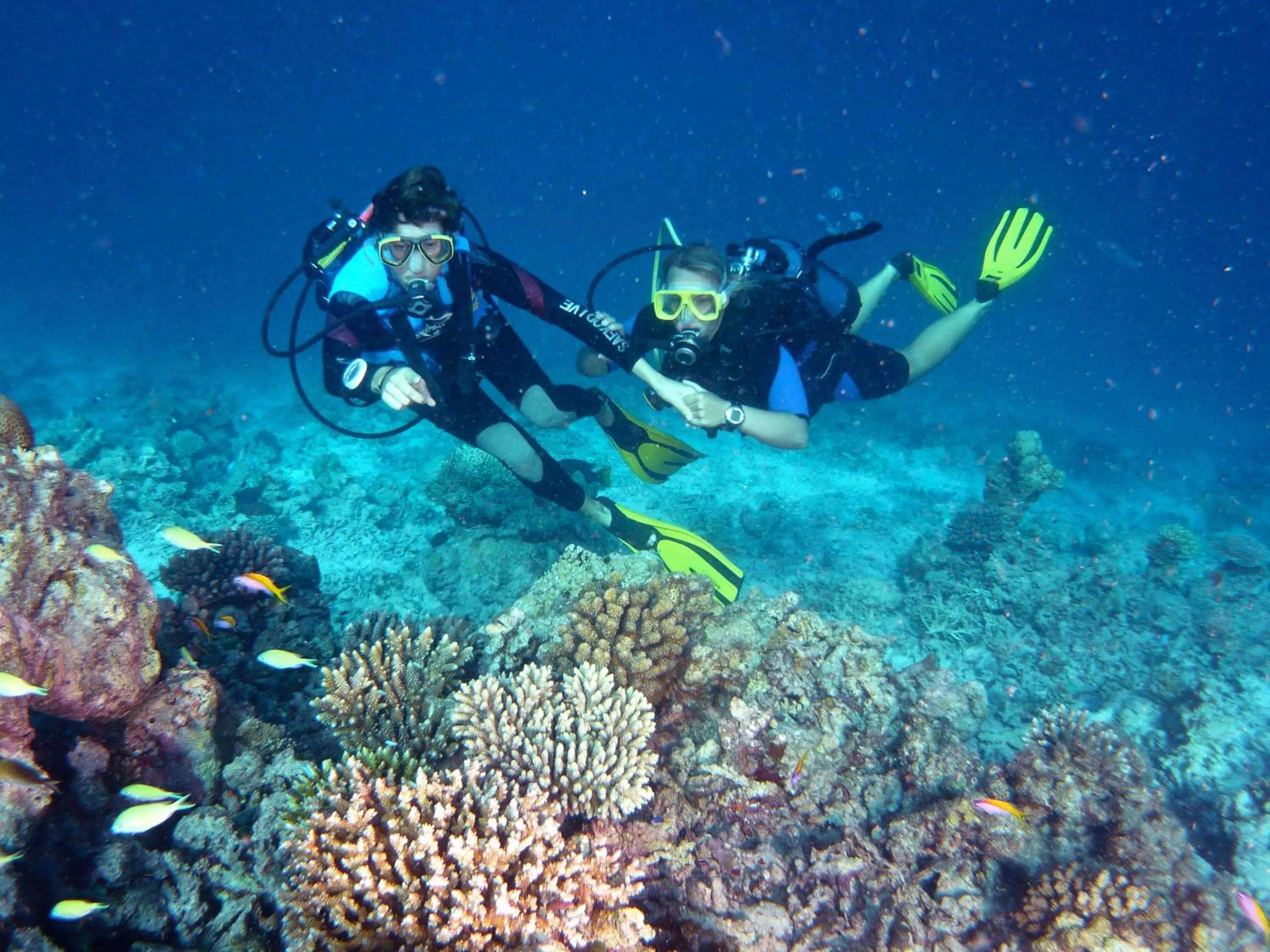 Diving in Canareef Resort Maldives