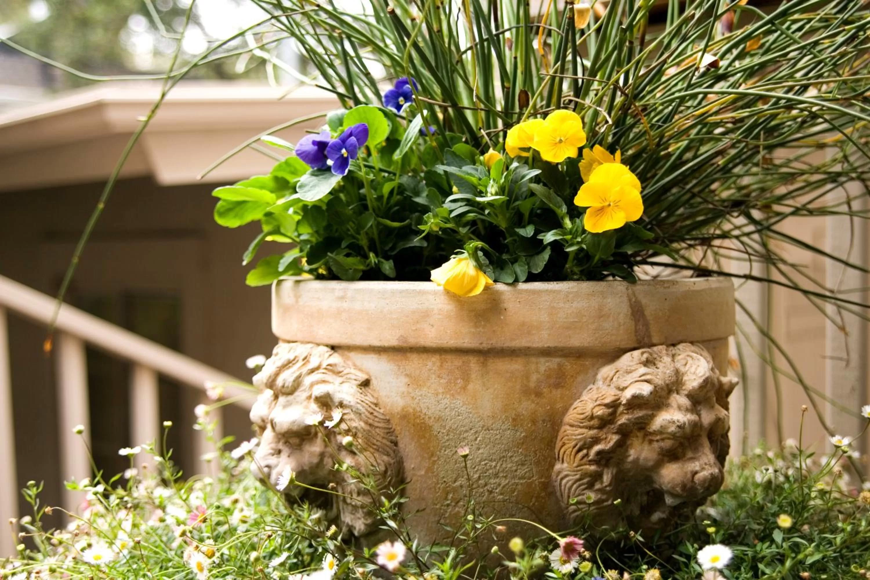 Garden in Carmel Country Inn