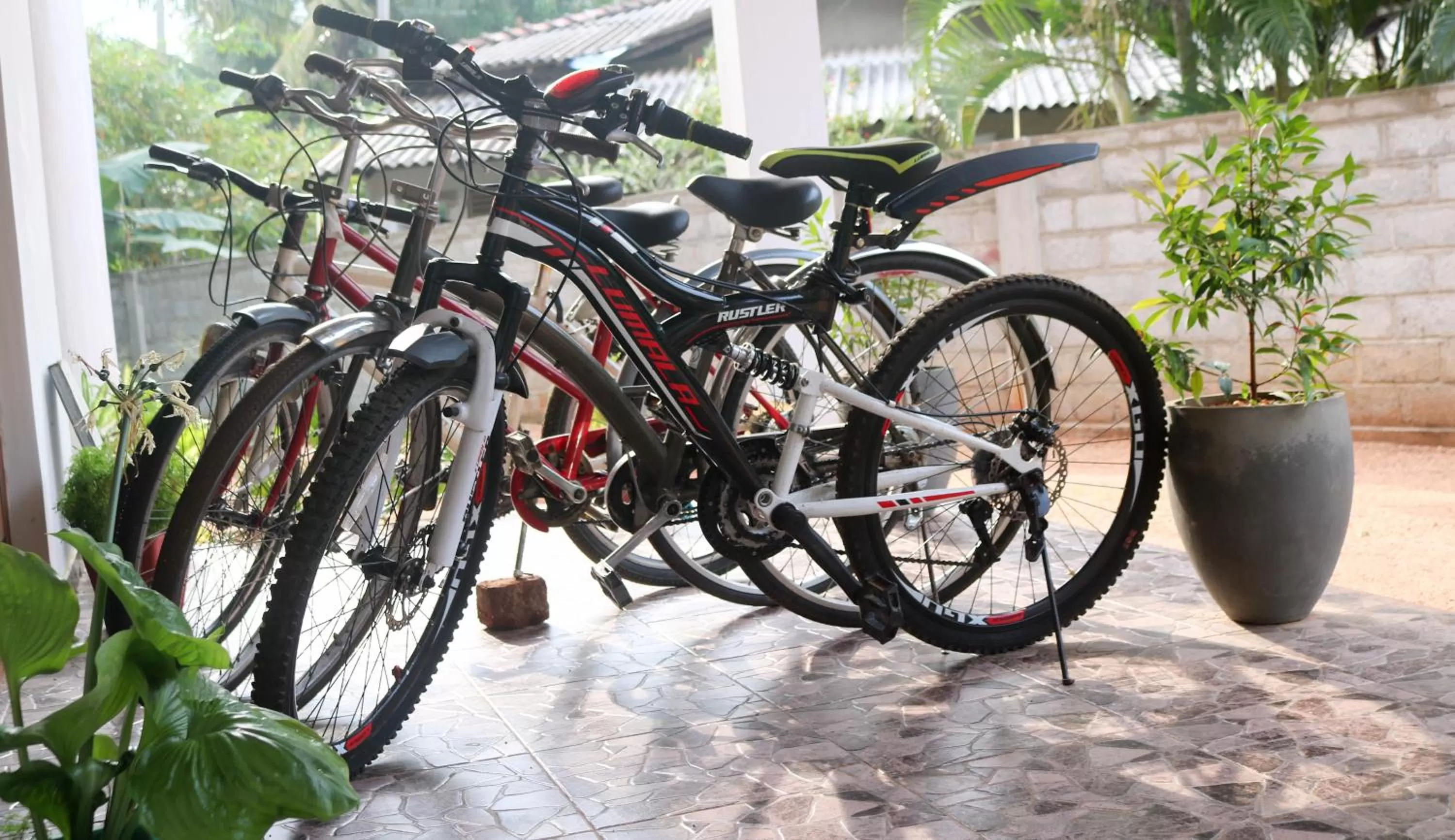 Activities, Biking in Divine Villa