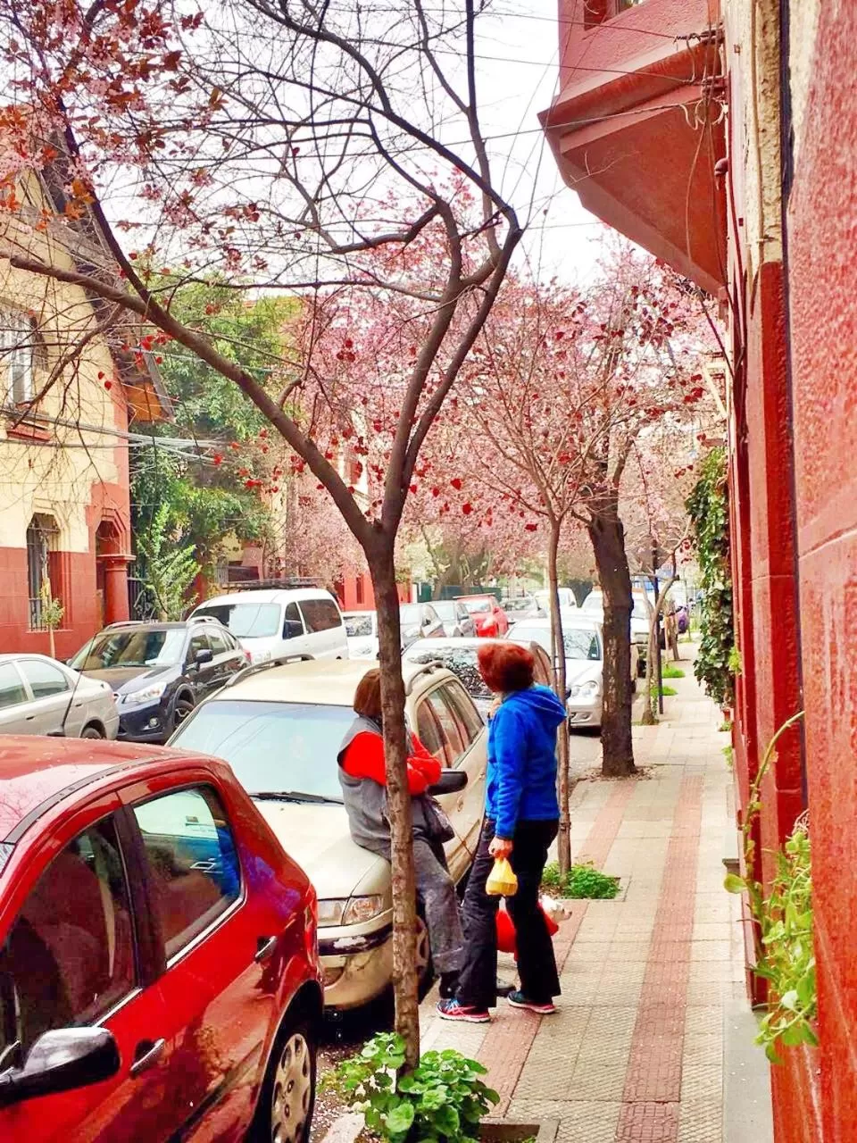 Autumn in Tralkan B&B