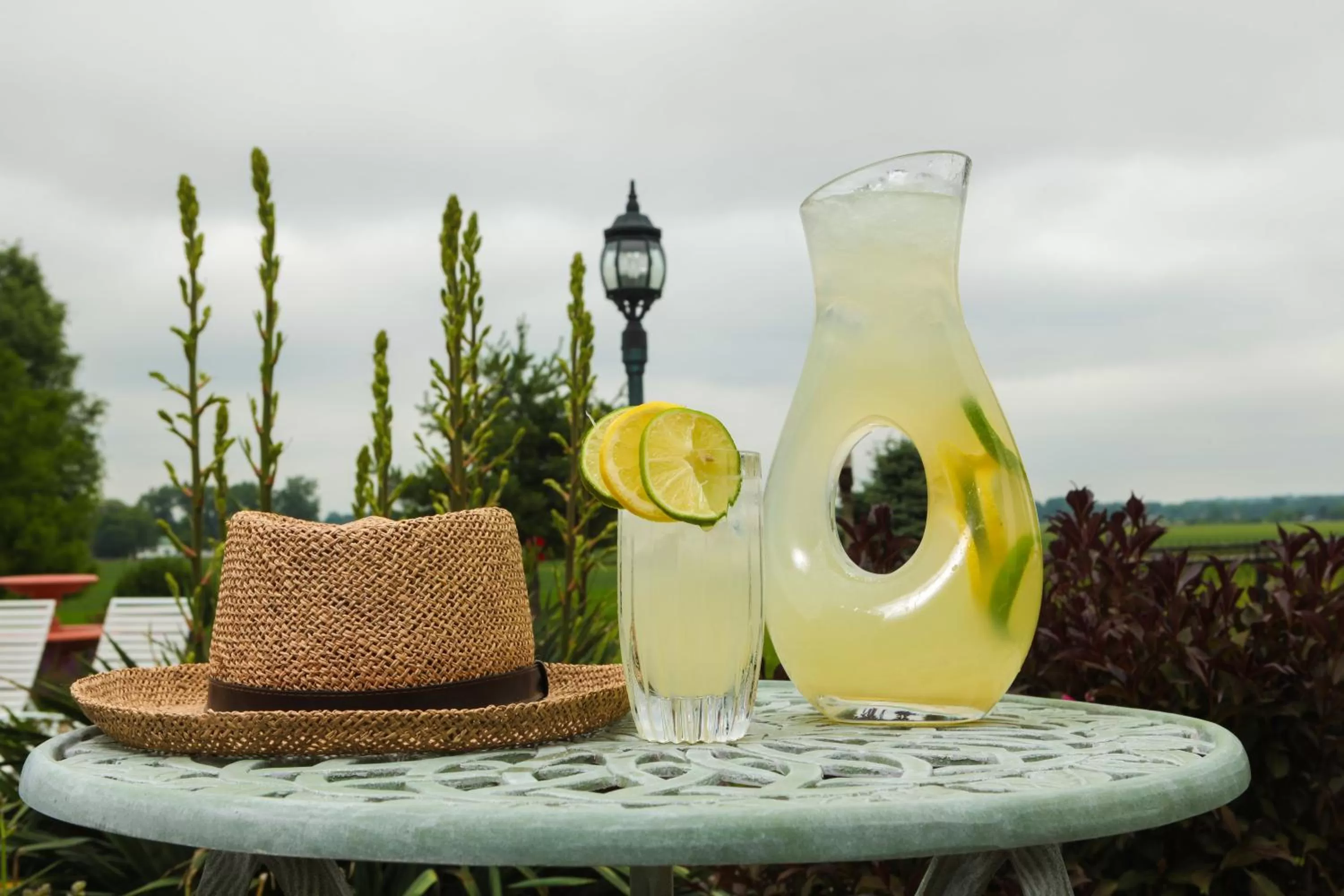 Scottish Bed & Breakfast