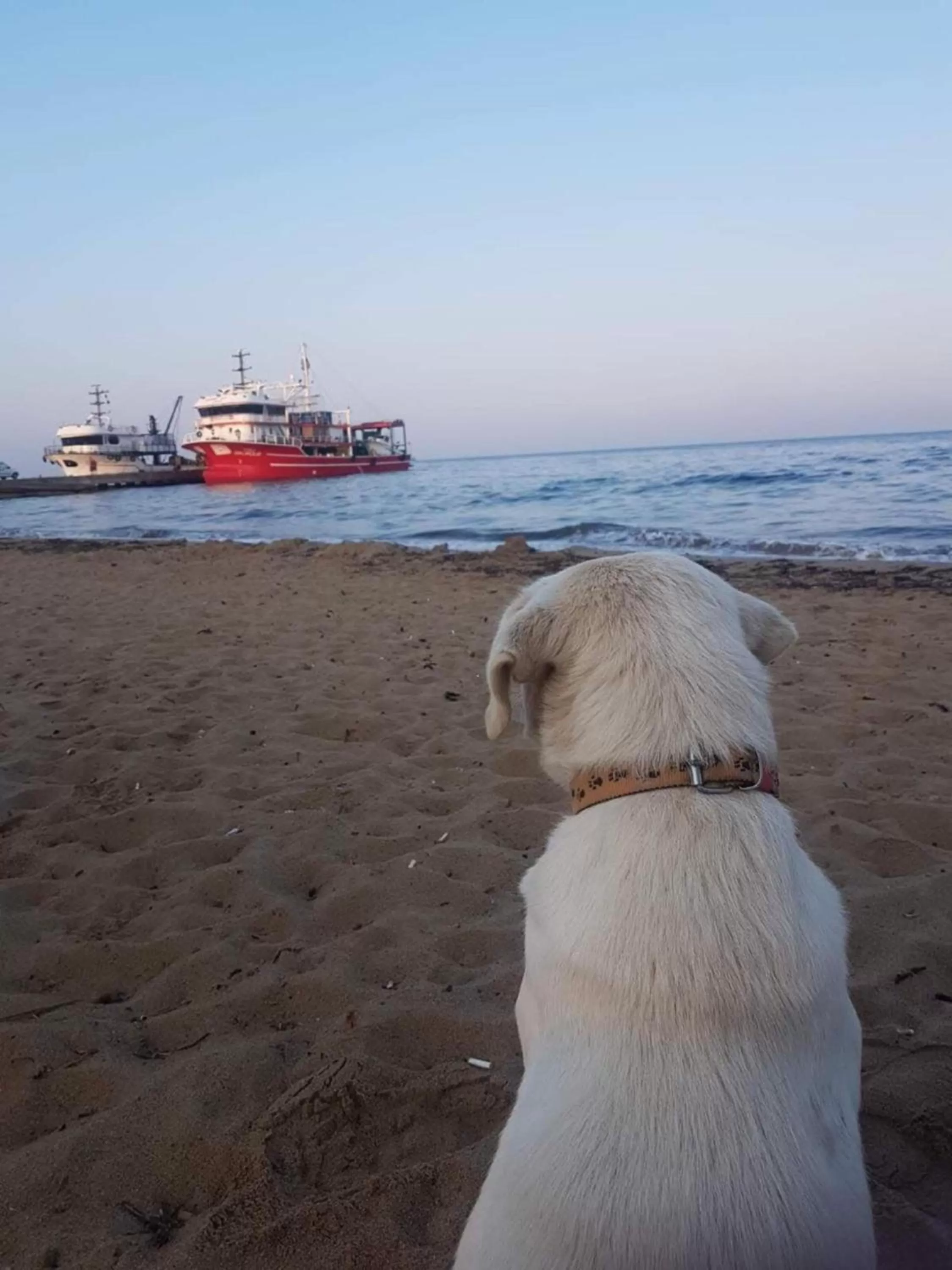 Beach in Ede Apart Otel