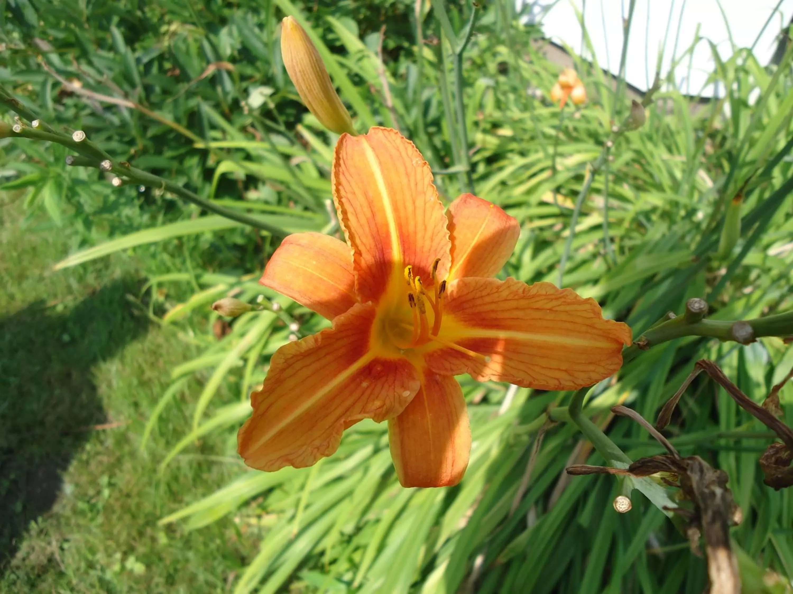 Other in Das FRITZ Hotel