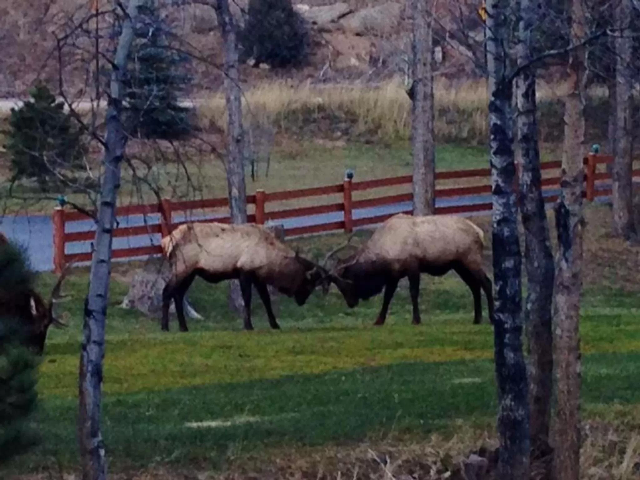 Spring in 4 Seasons Inn on Fall River